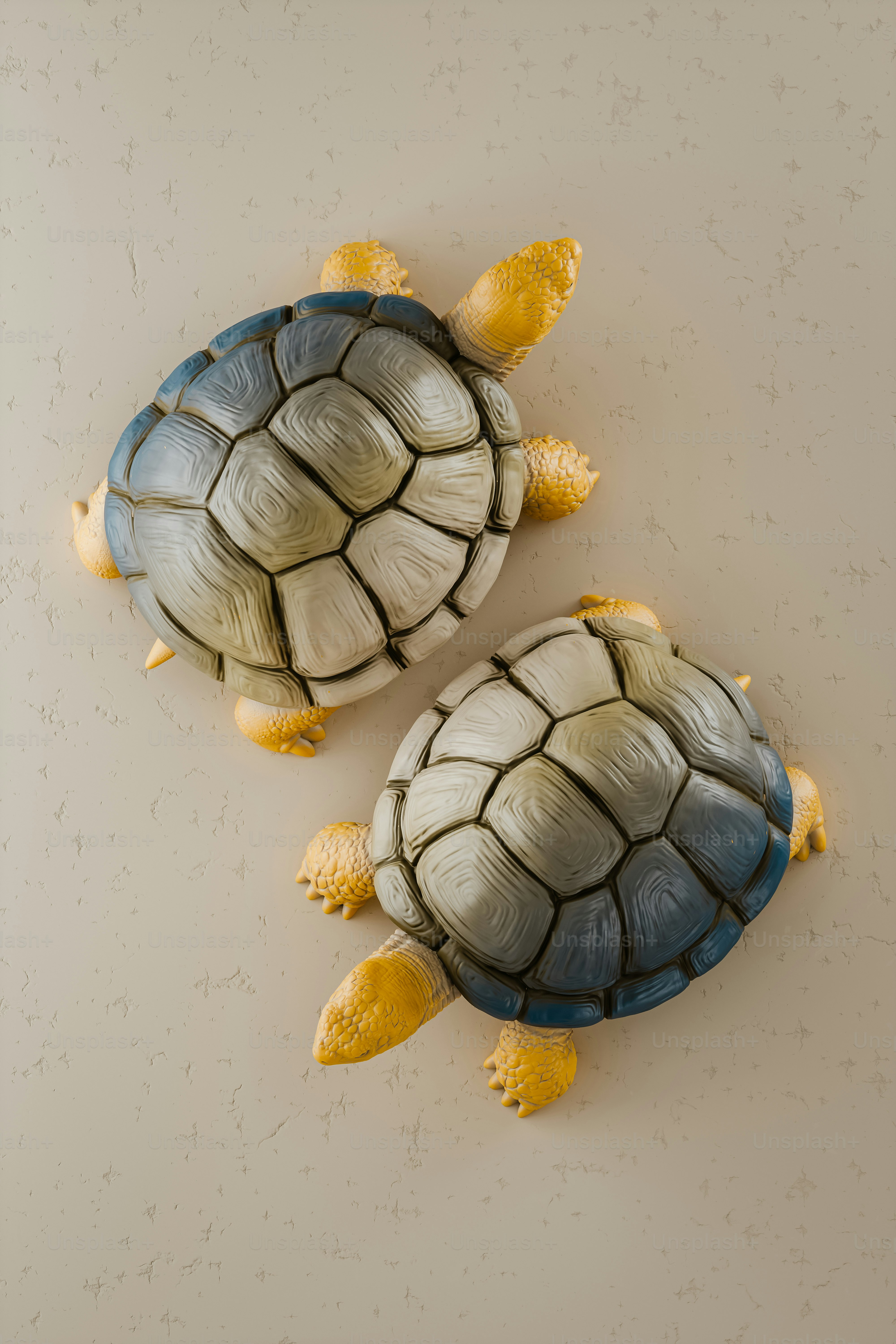 Creative visualization of two colorful tortoises. 3D render.