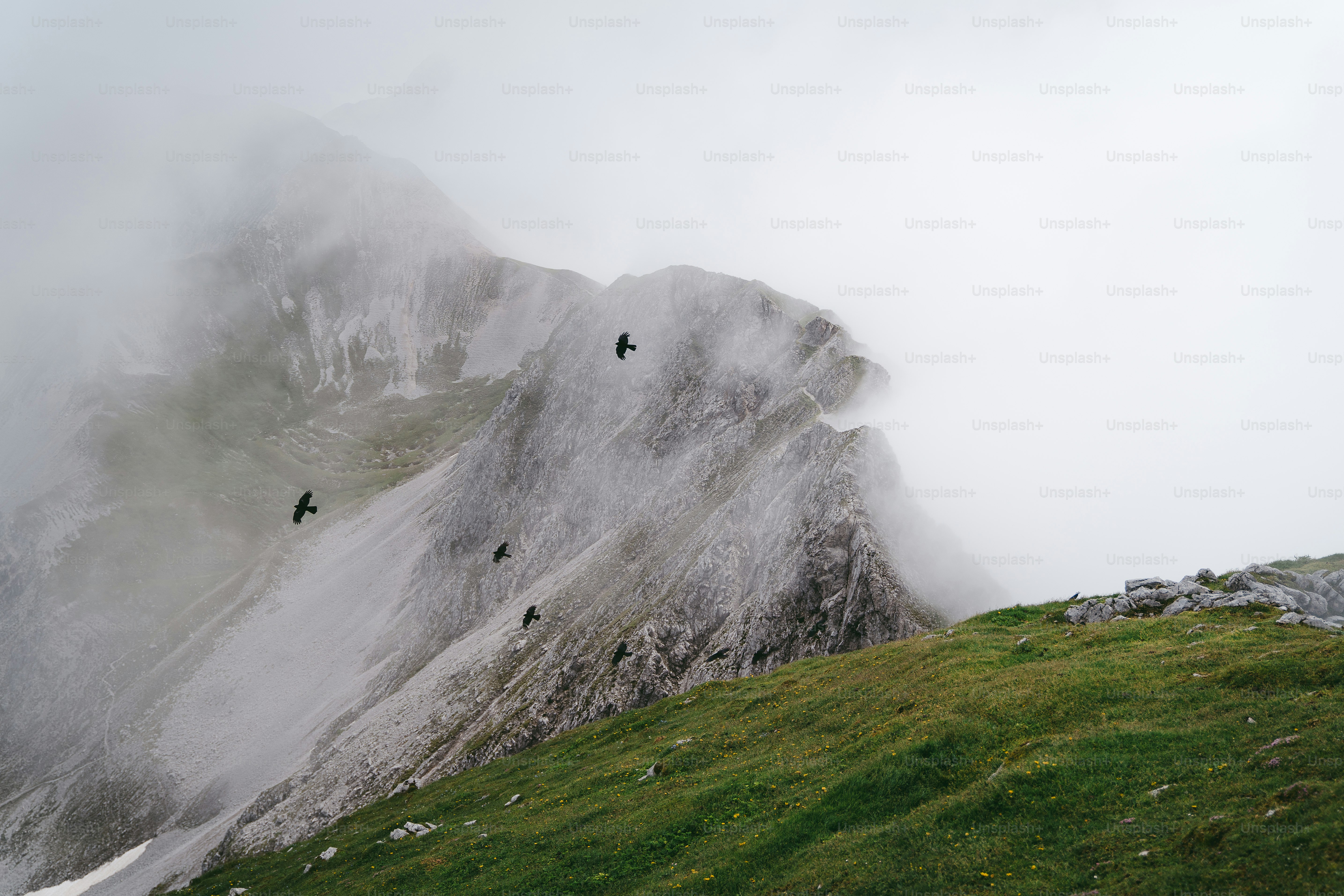 산을 오르는 한 무리의 사람들