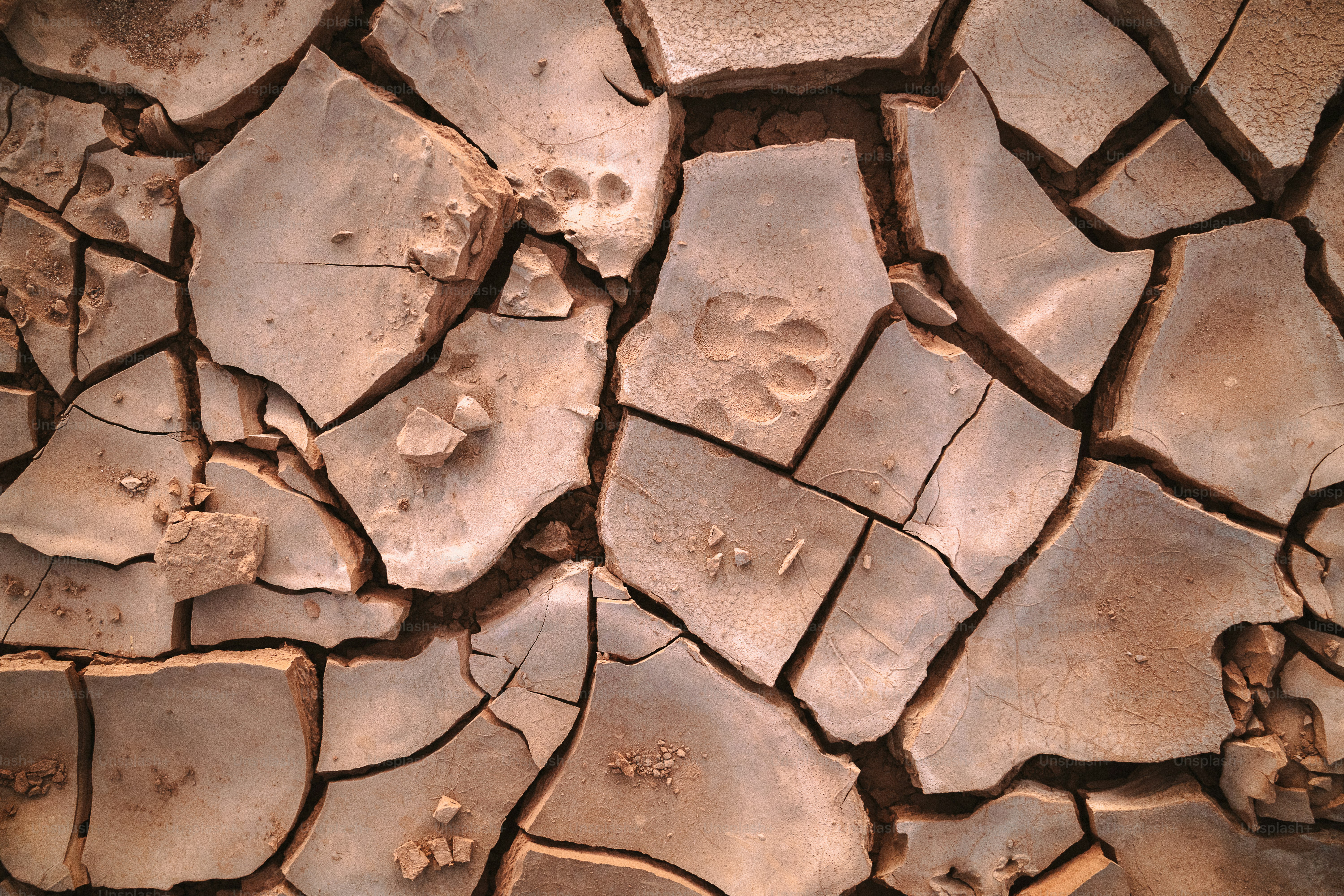 Una vista de cerca de una superficie agrietada