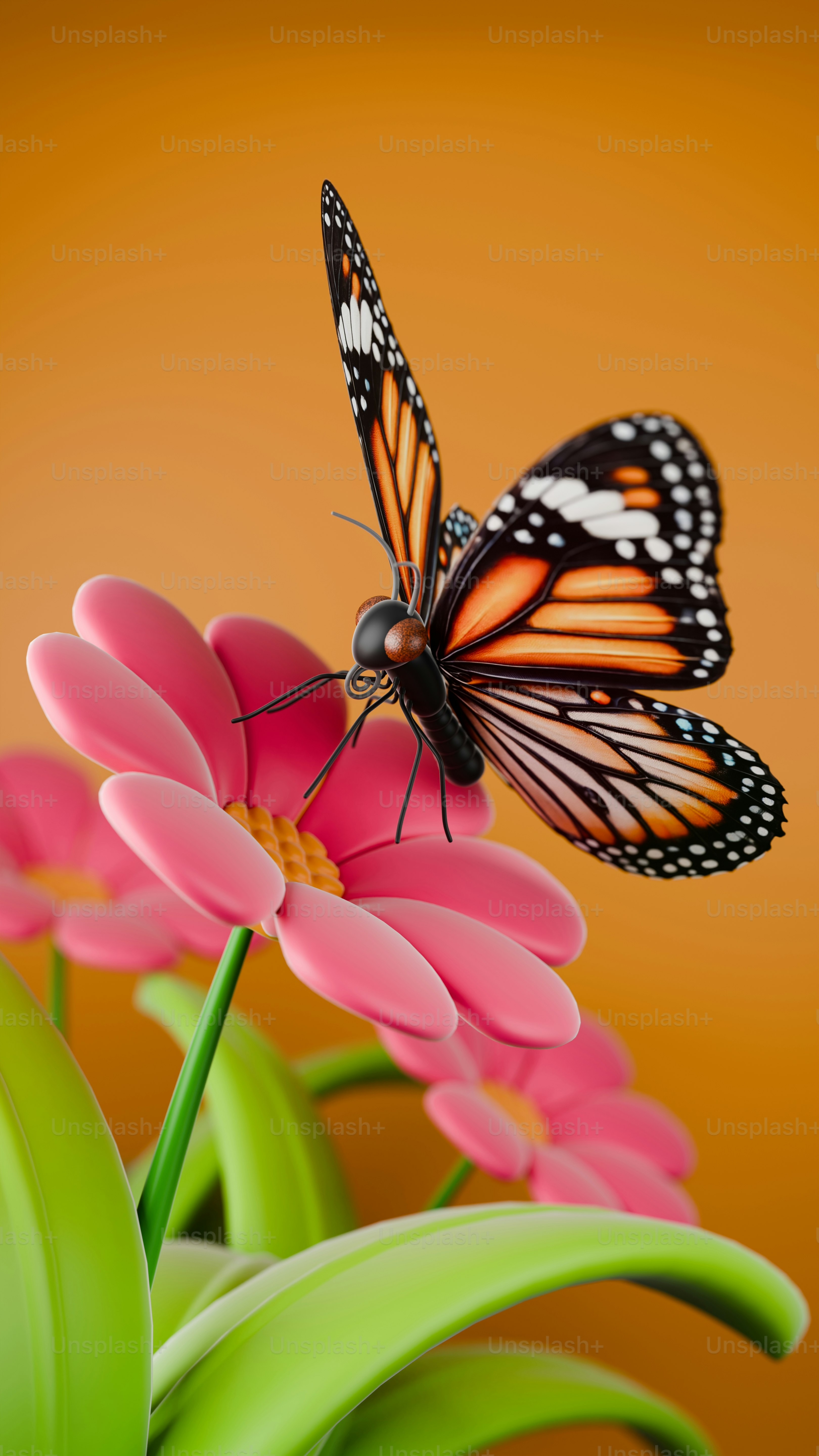 45,628+ Butterfly Garden Pictures | Download Free Images on Unsplash
