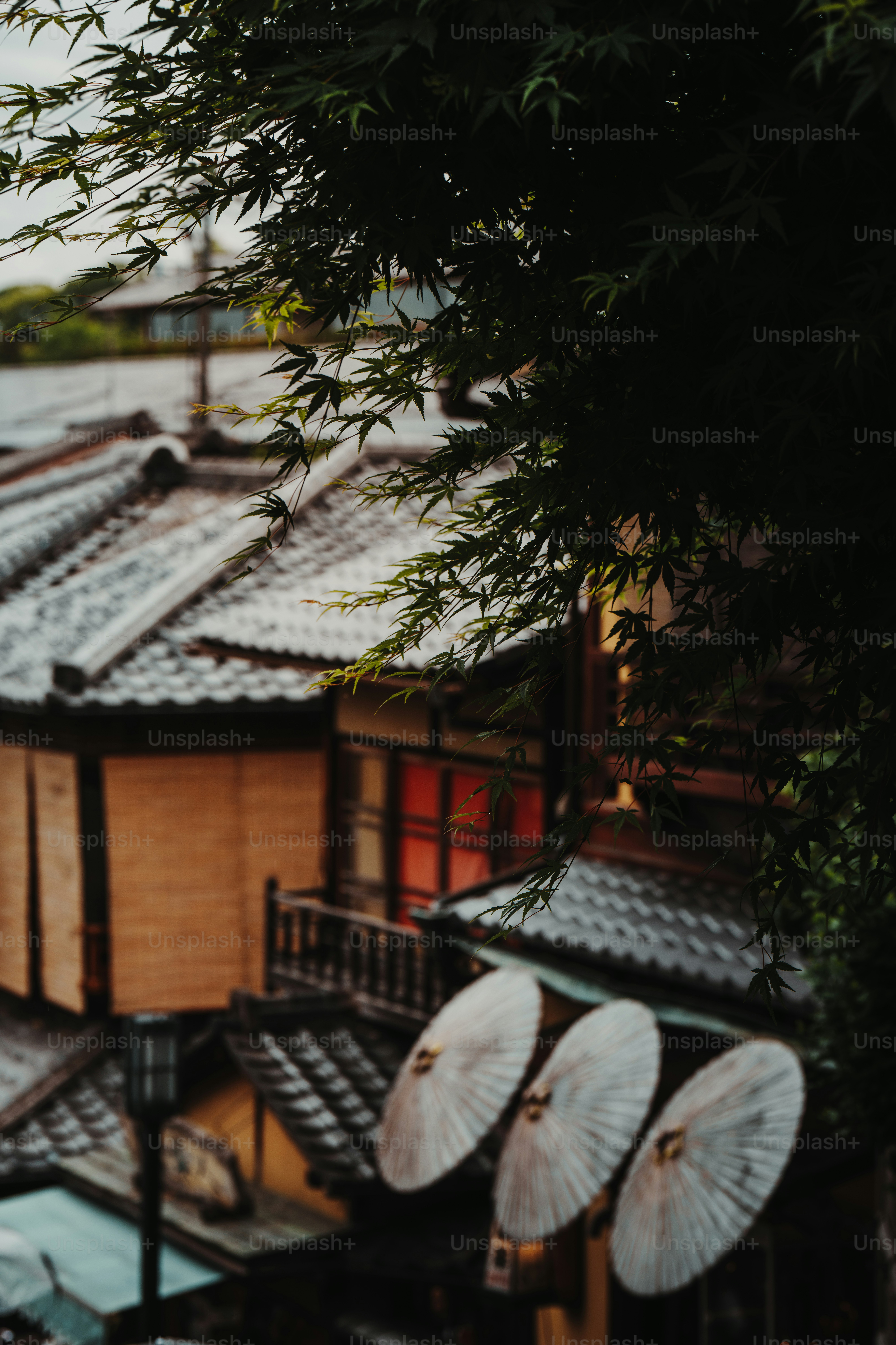 A group of umbrellas sitting on top of a roof