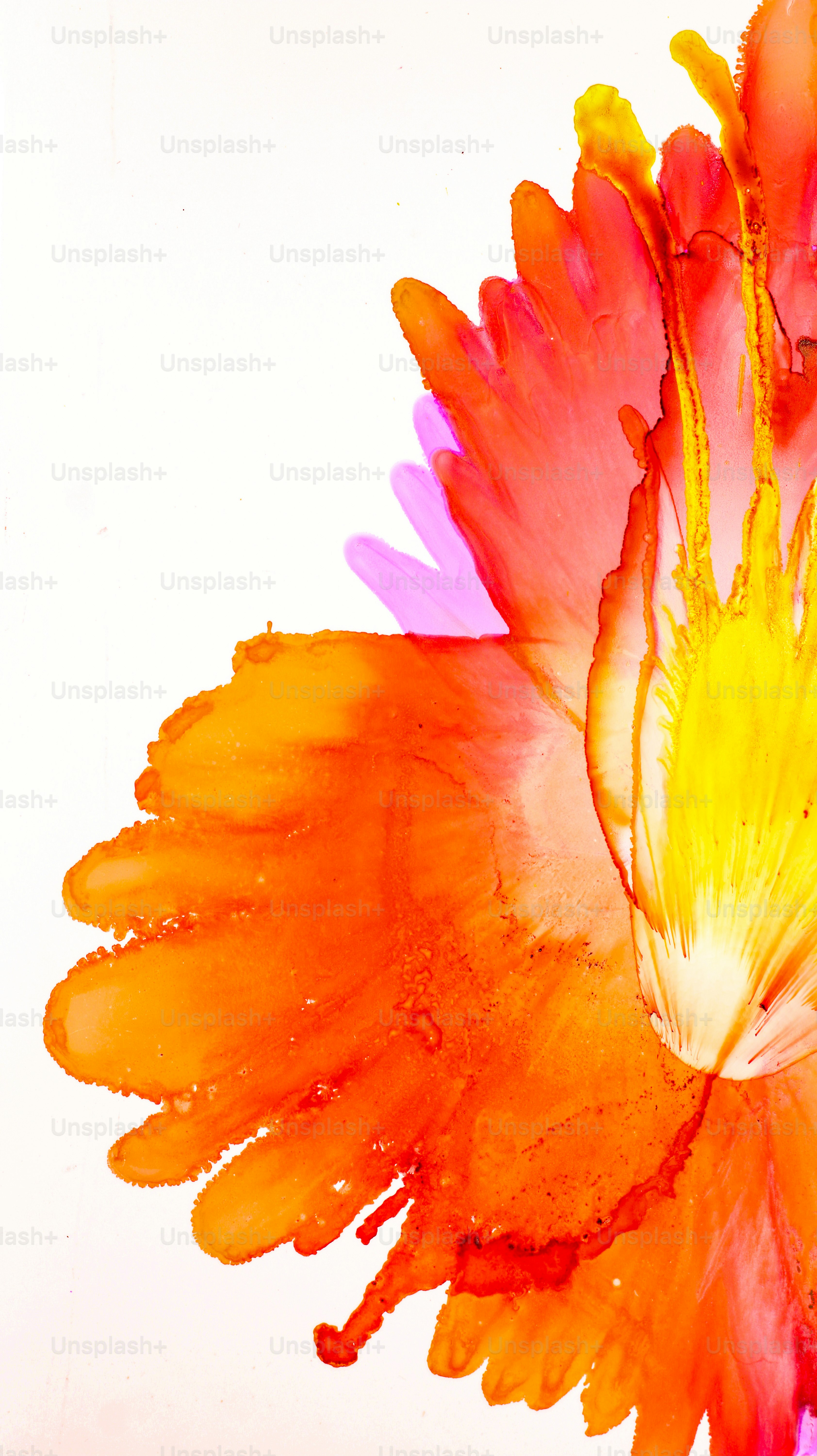 Un primer plano de una flor sobre un fondo blanco