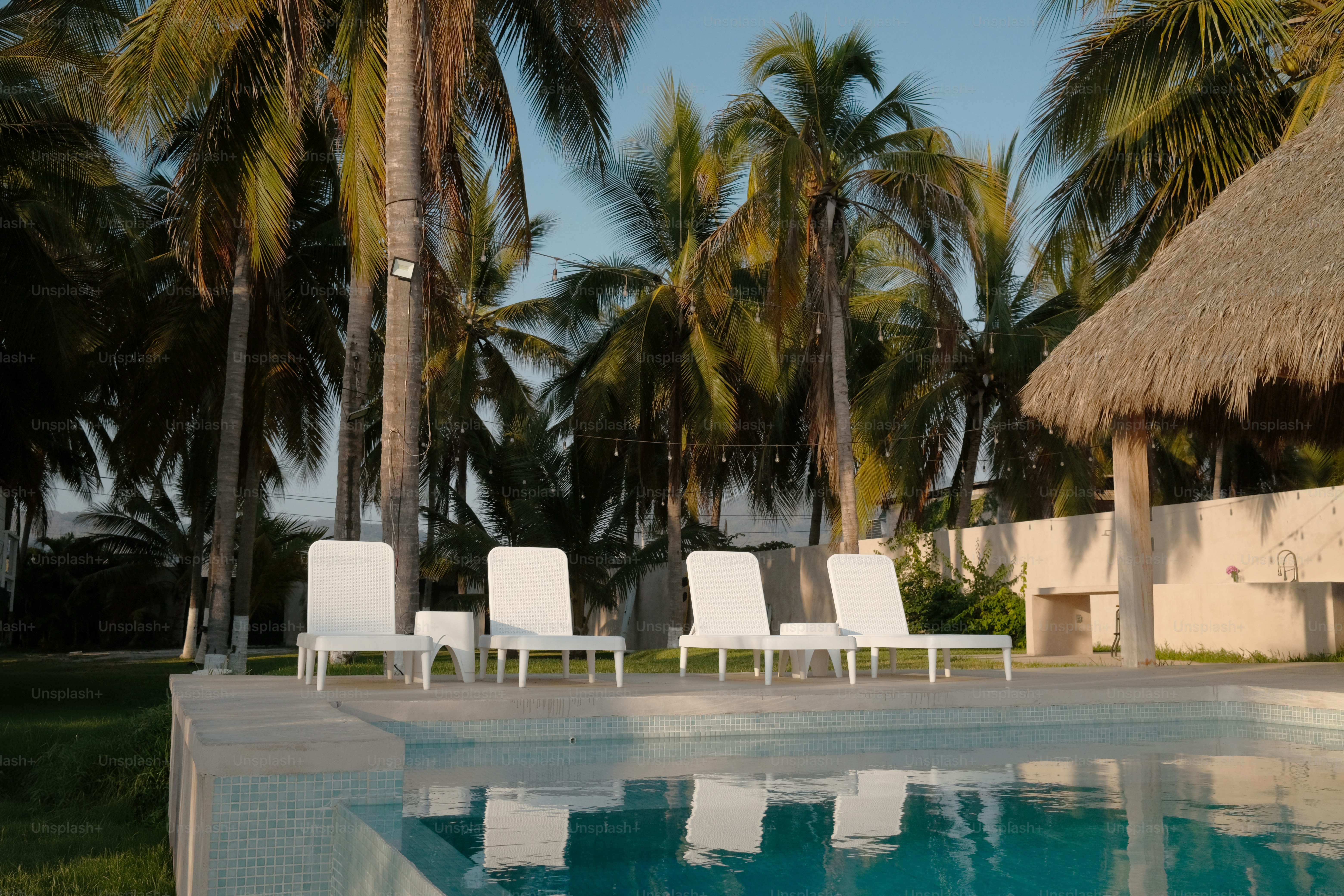 A pool with chairs and palm trees in the background