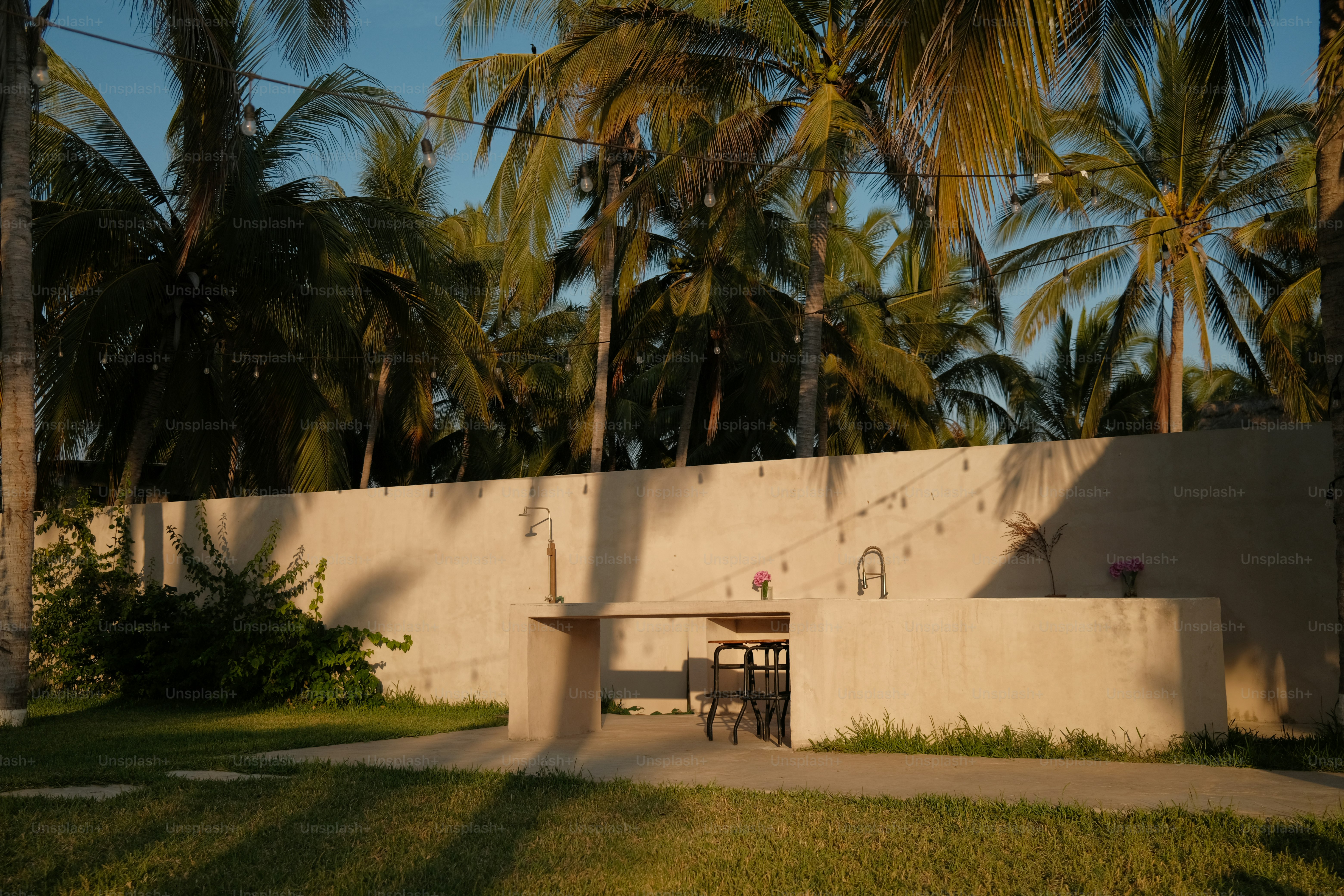 A house with palm trees in the background
