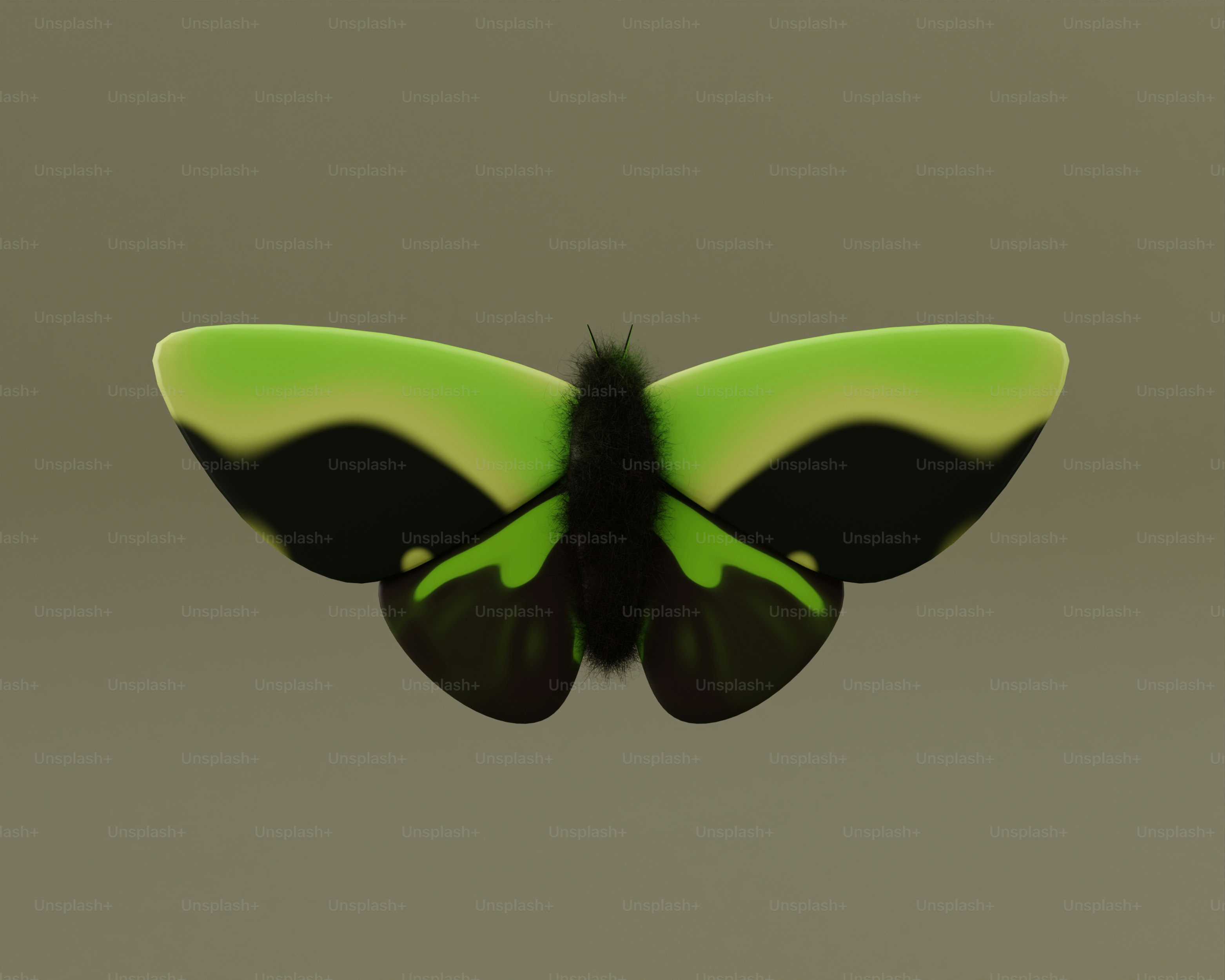 A green and black butterfly flying through the air