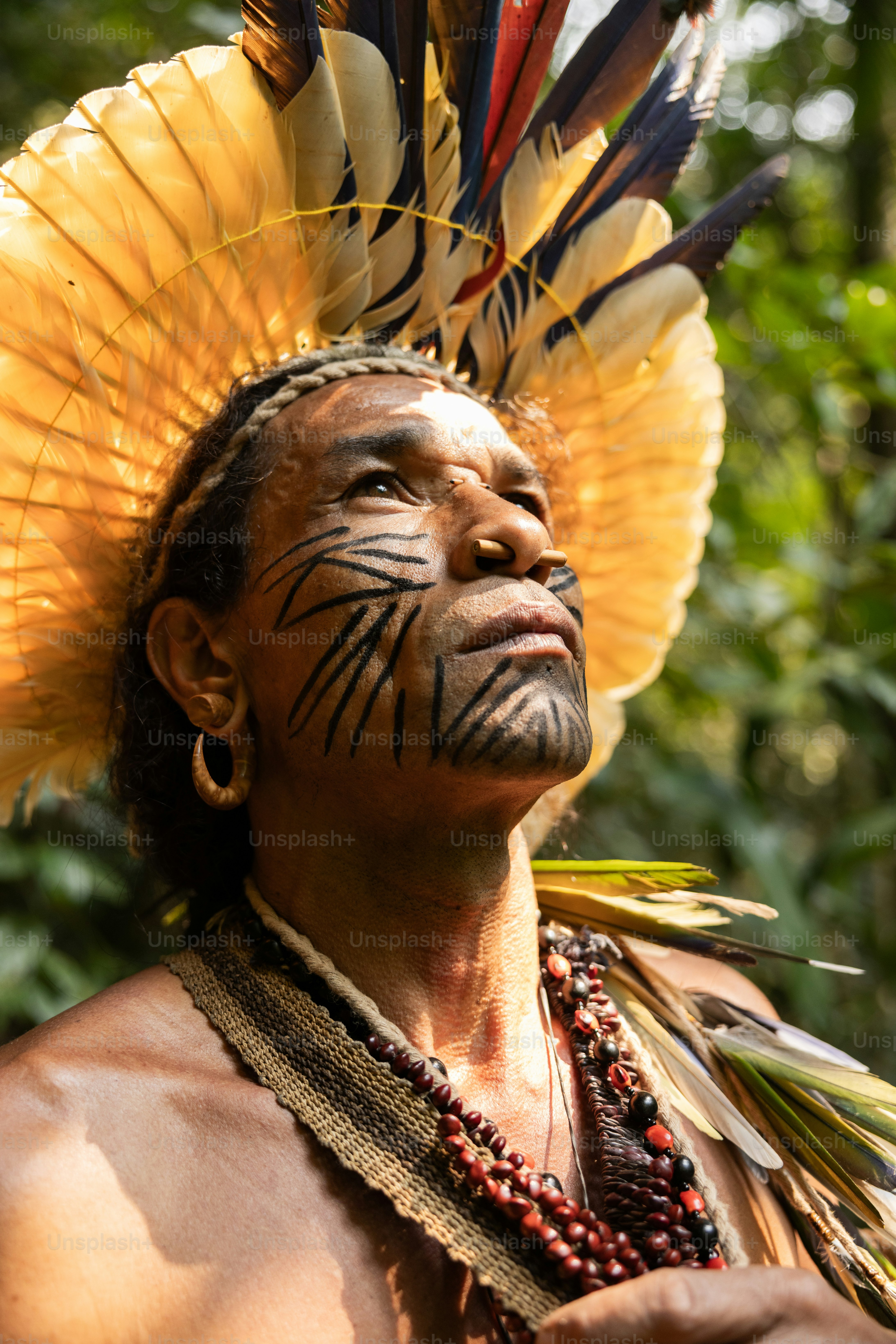 A native american man with feathers on his head