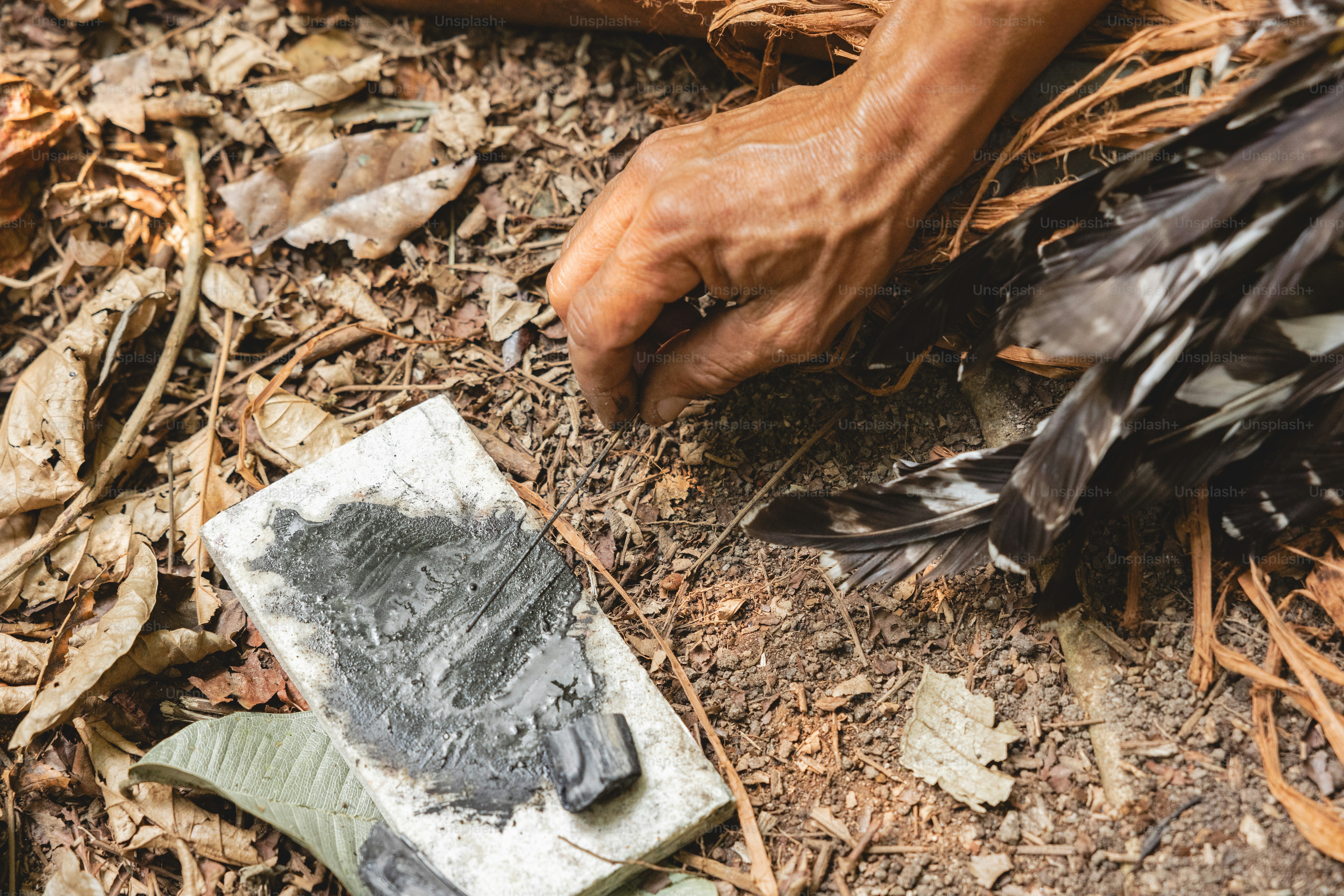 A person's hands holding a piece of paper on the ground