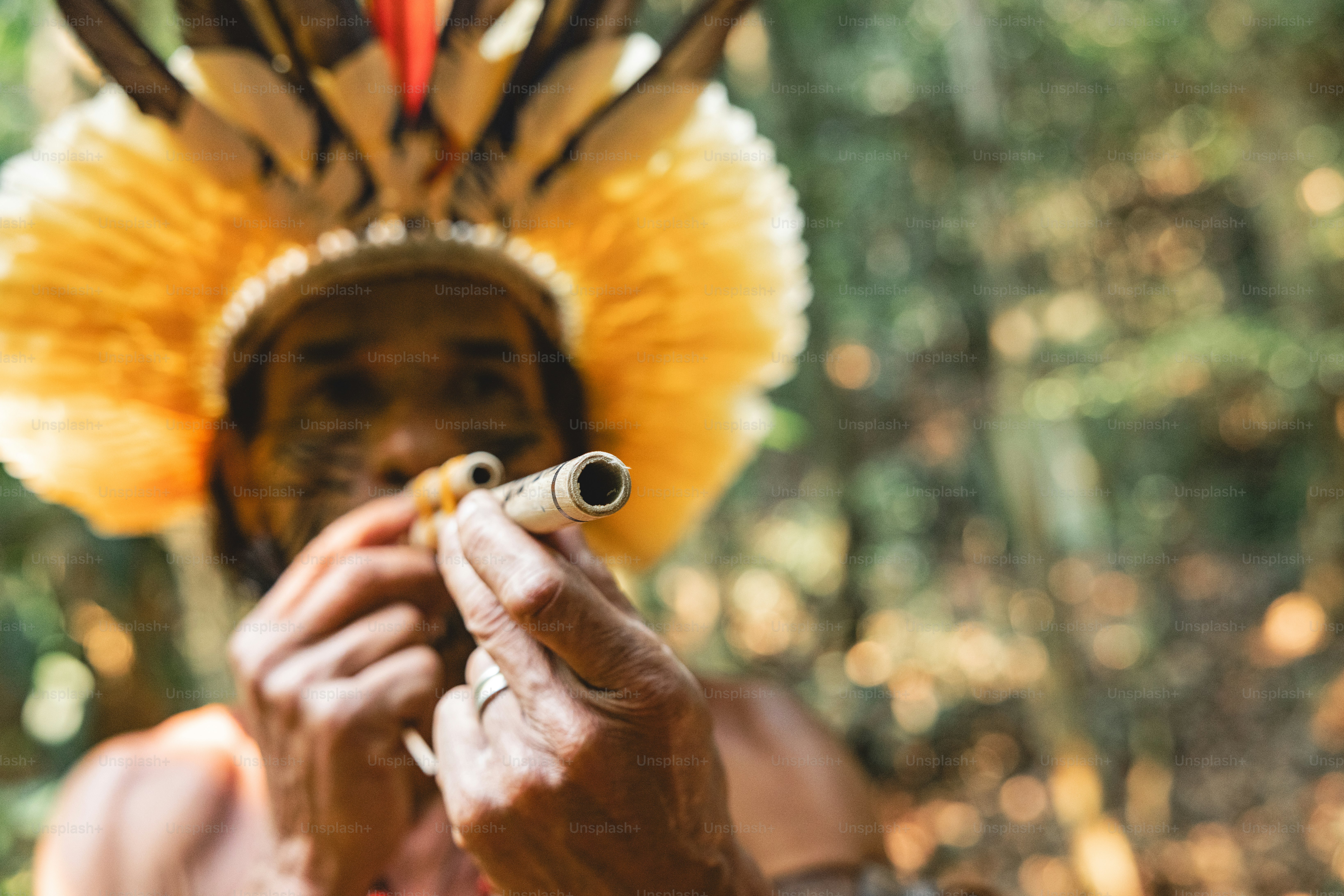 Indigenous Texas, Gwen Ifill, North Carolina Photography, More: Sunday Afternoon ResearchBuzz, June 8, 2025