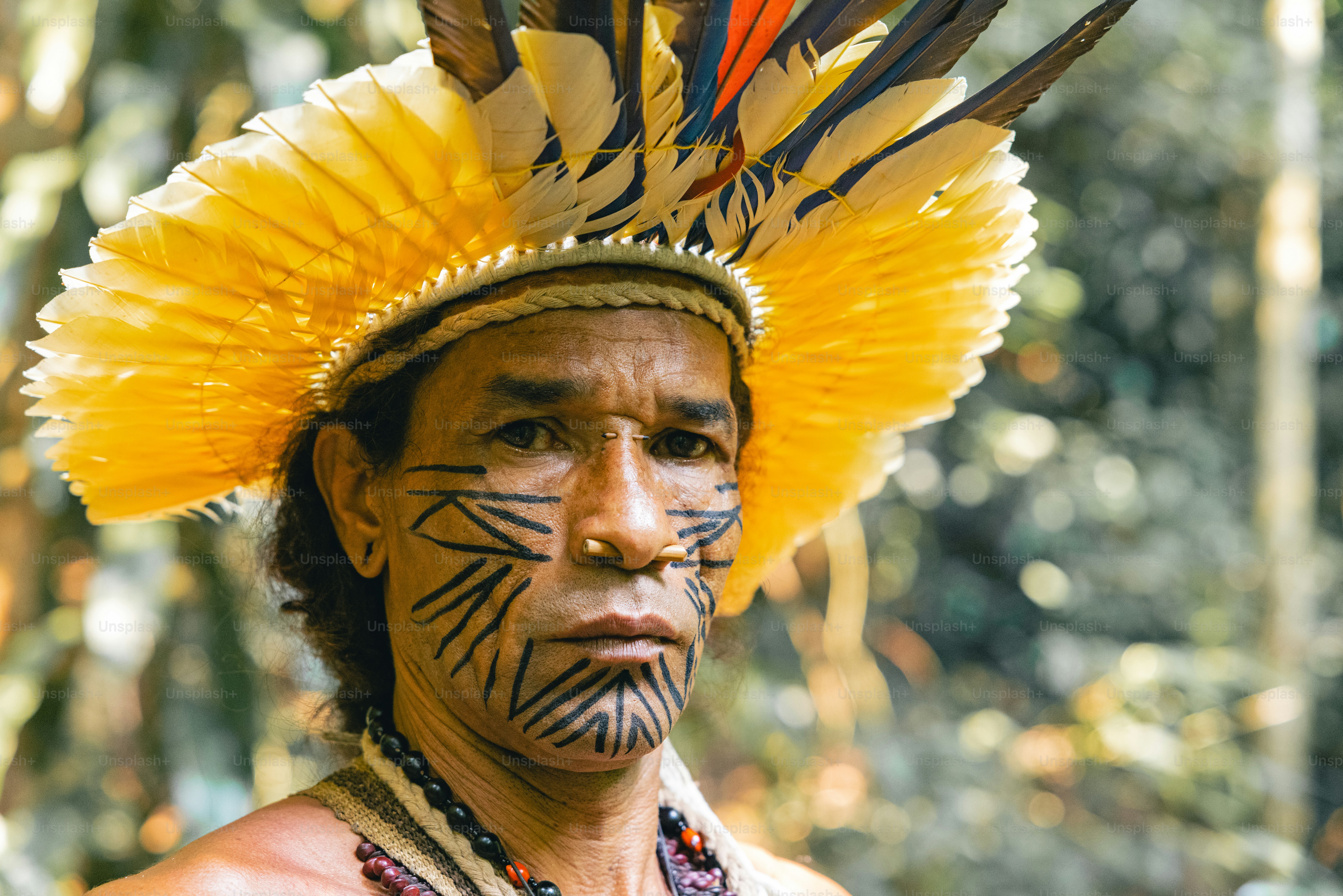 Seorang pria asli Amerika mengenakan hiasan kepala kuning