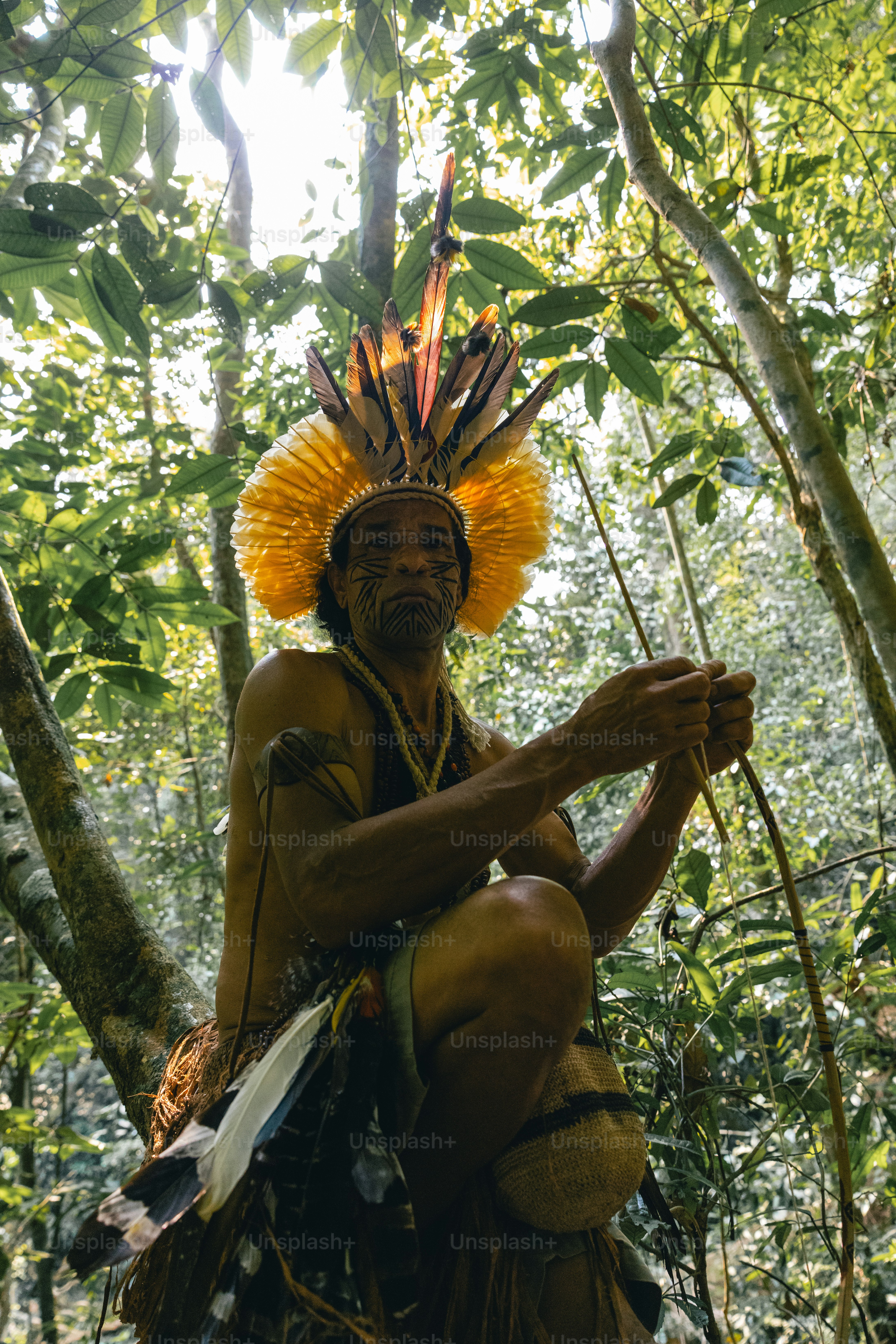 A native american man sitting in the woods