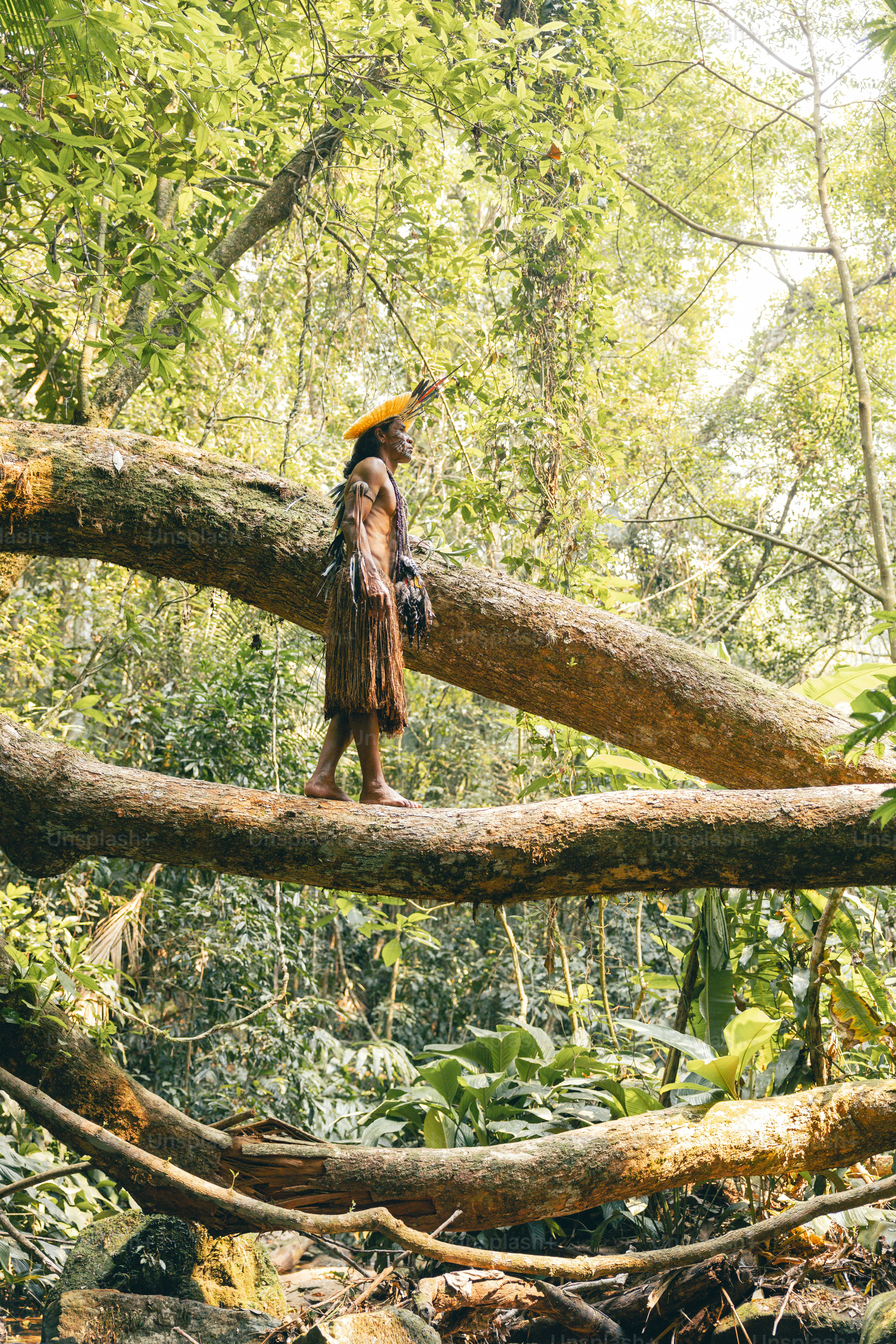 A man walking across a fallen tree in a forest