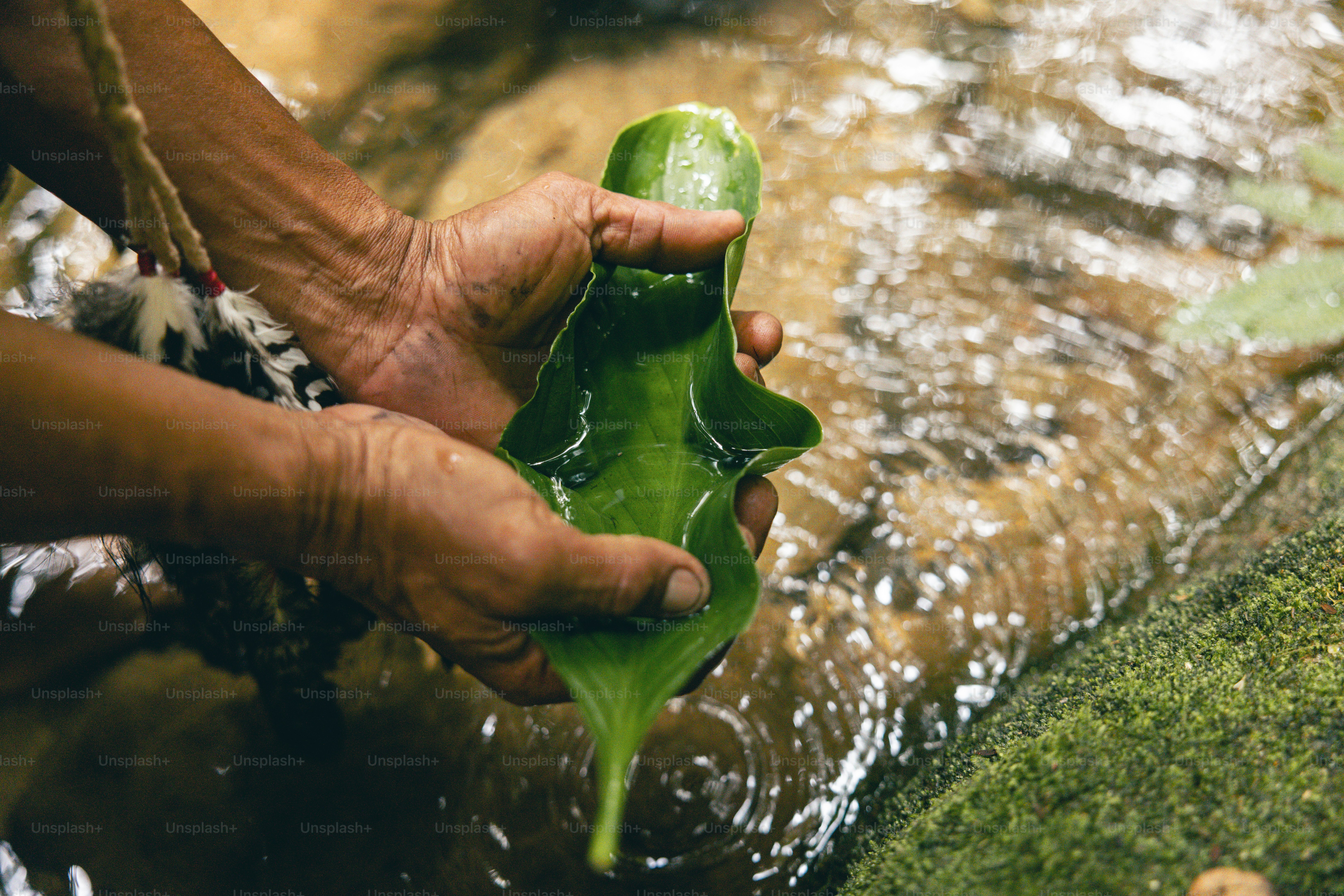 A person holding a green leaf over a stream