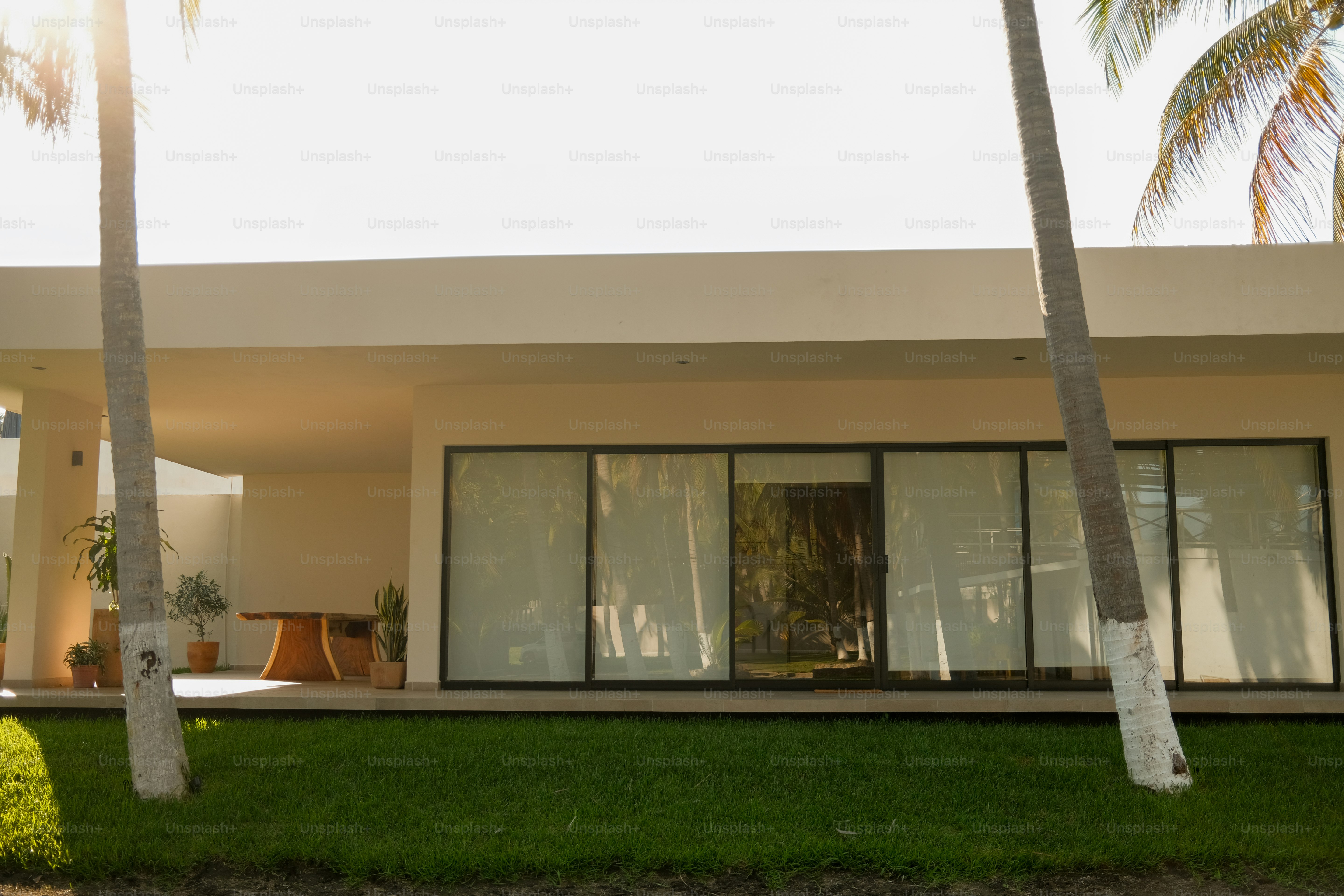 A house with palm trees in front of it