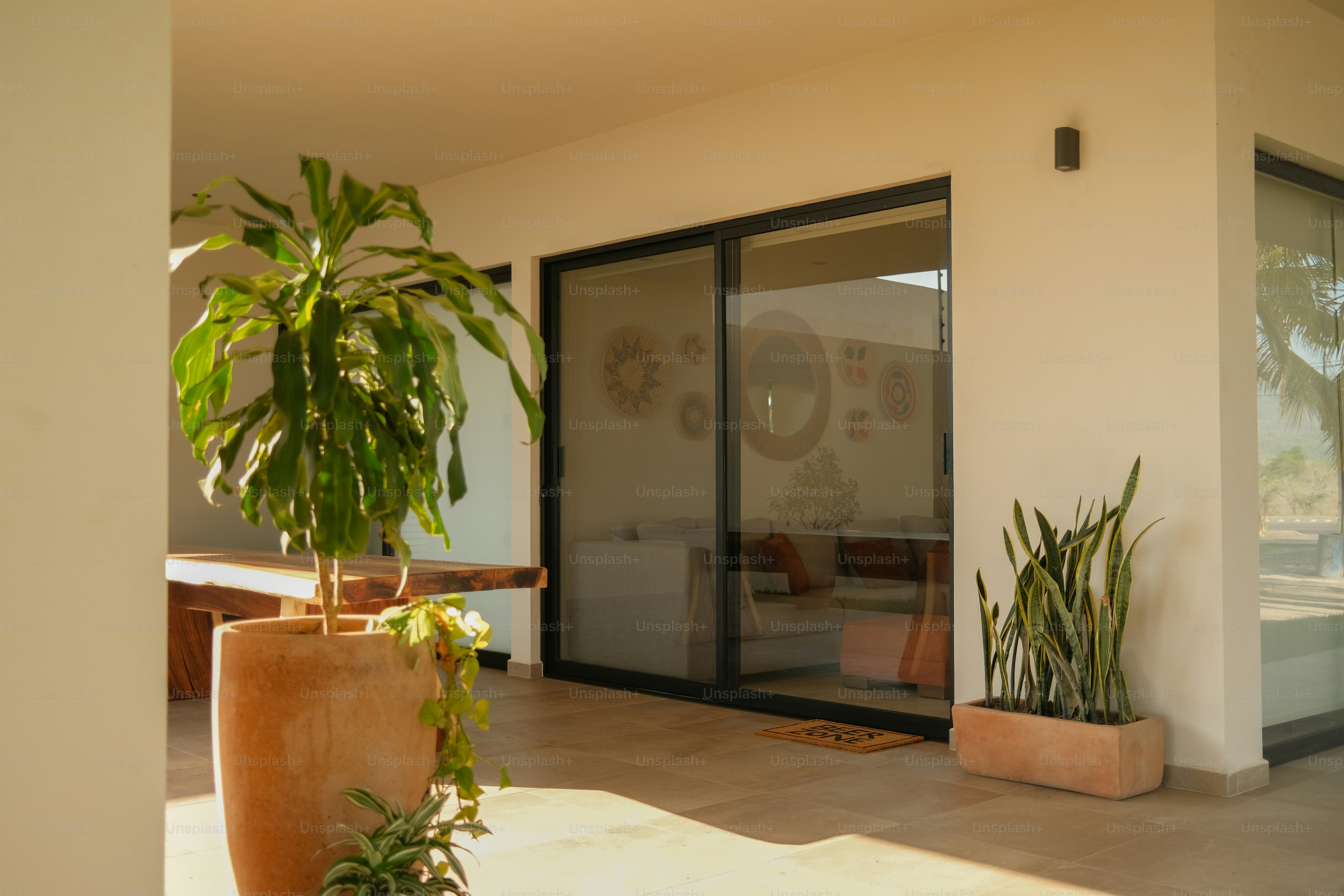 Eco home with lush indoor plants and wooden textures bathed in sunlight.