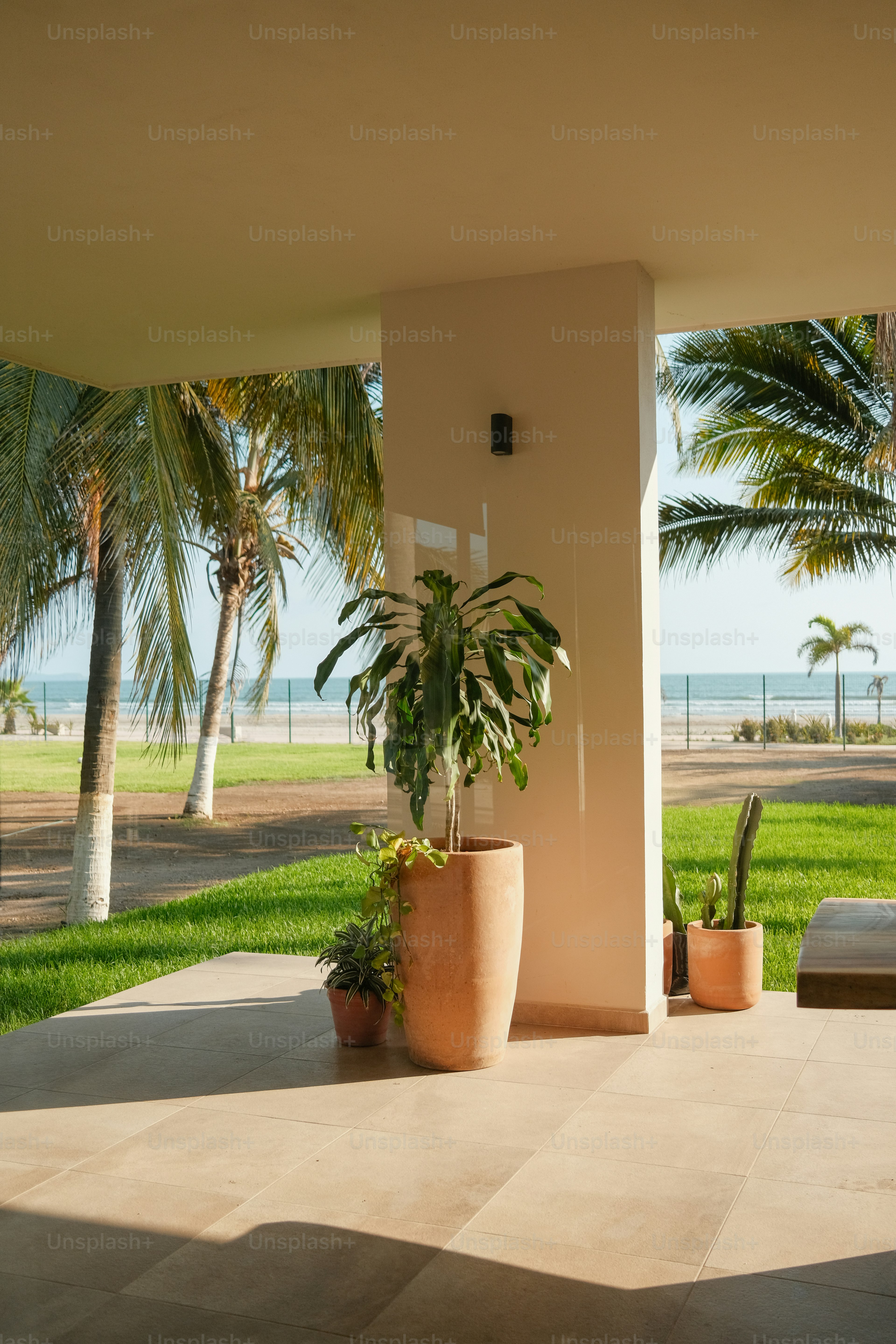 A patio with a view of the ocean and palm trees
