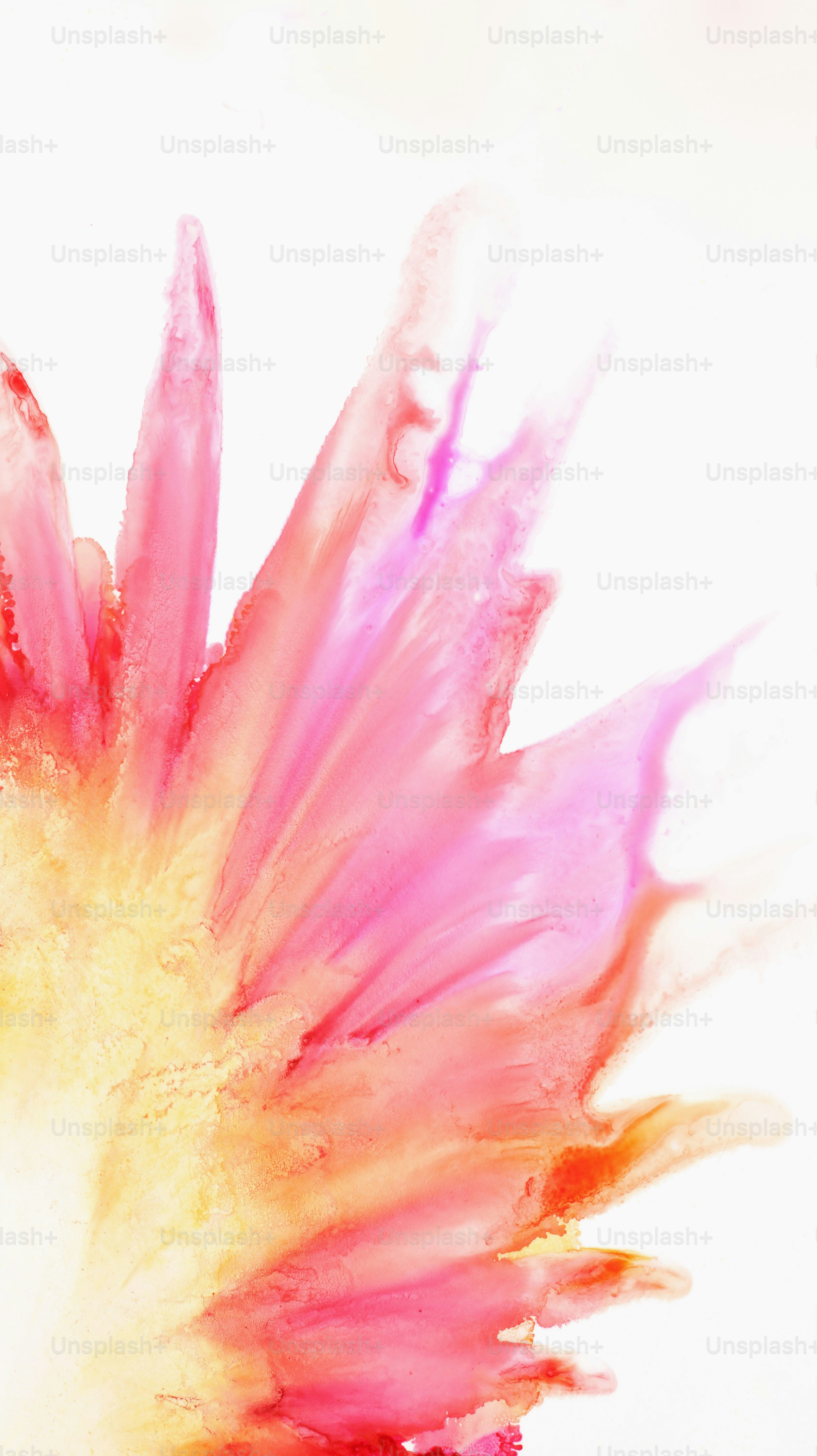 A close up of a flower on a white background