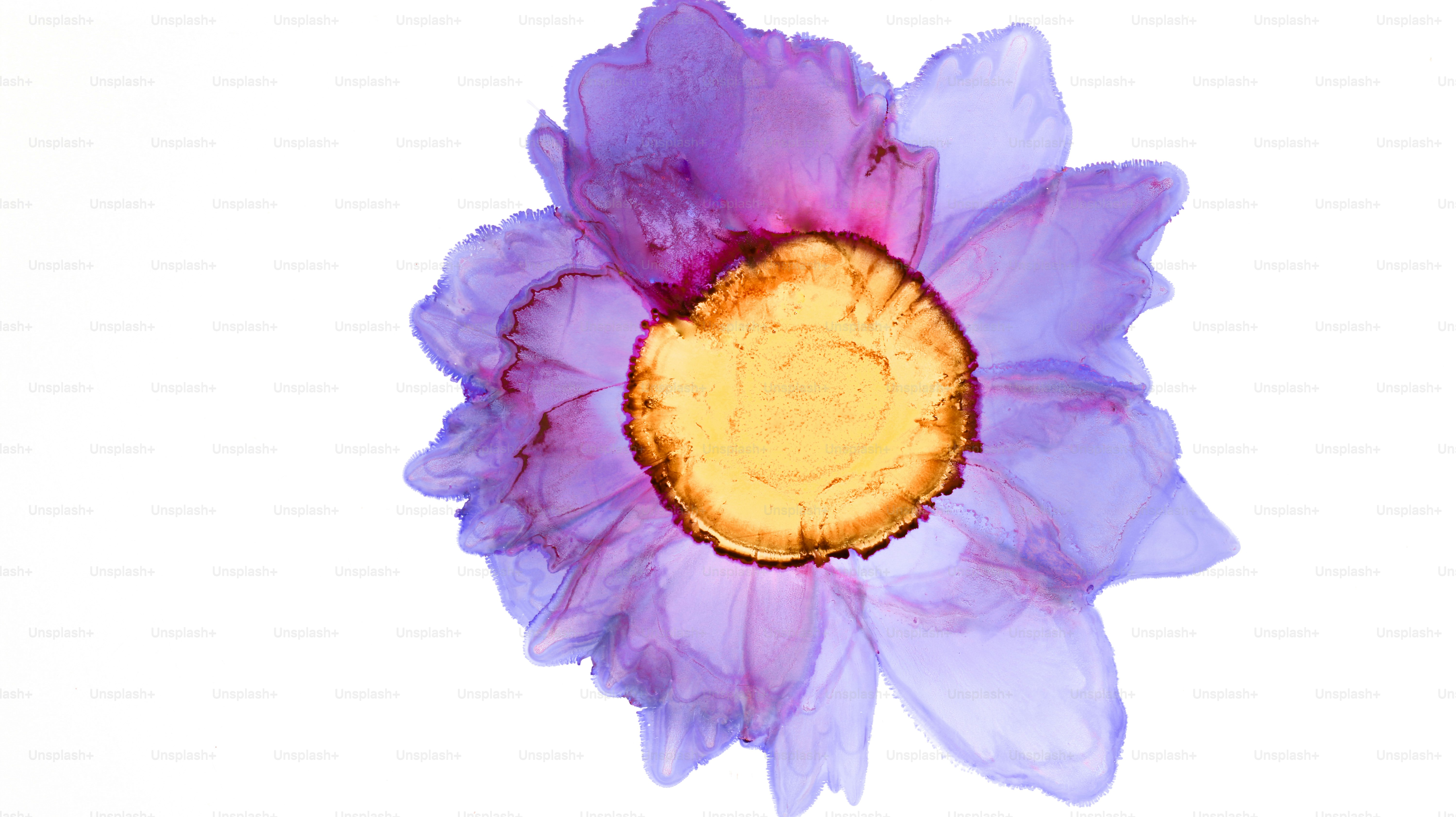 A purple flower with a yellow center on a white background