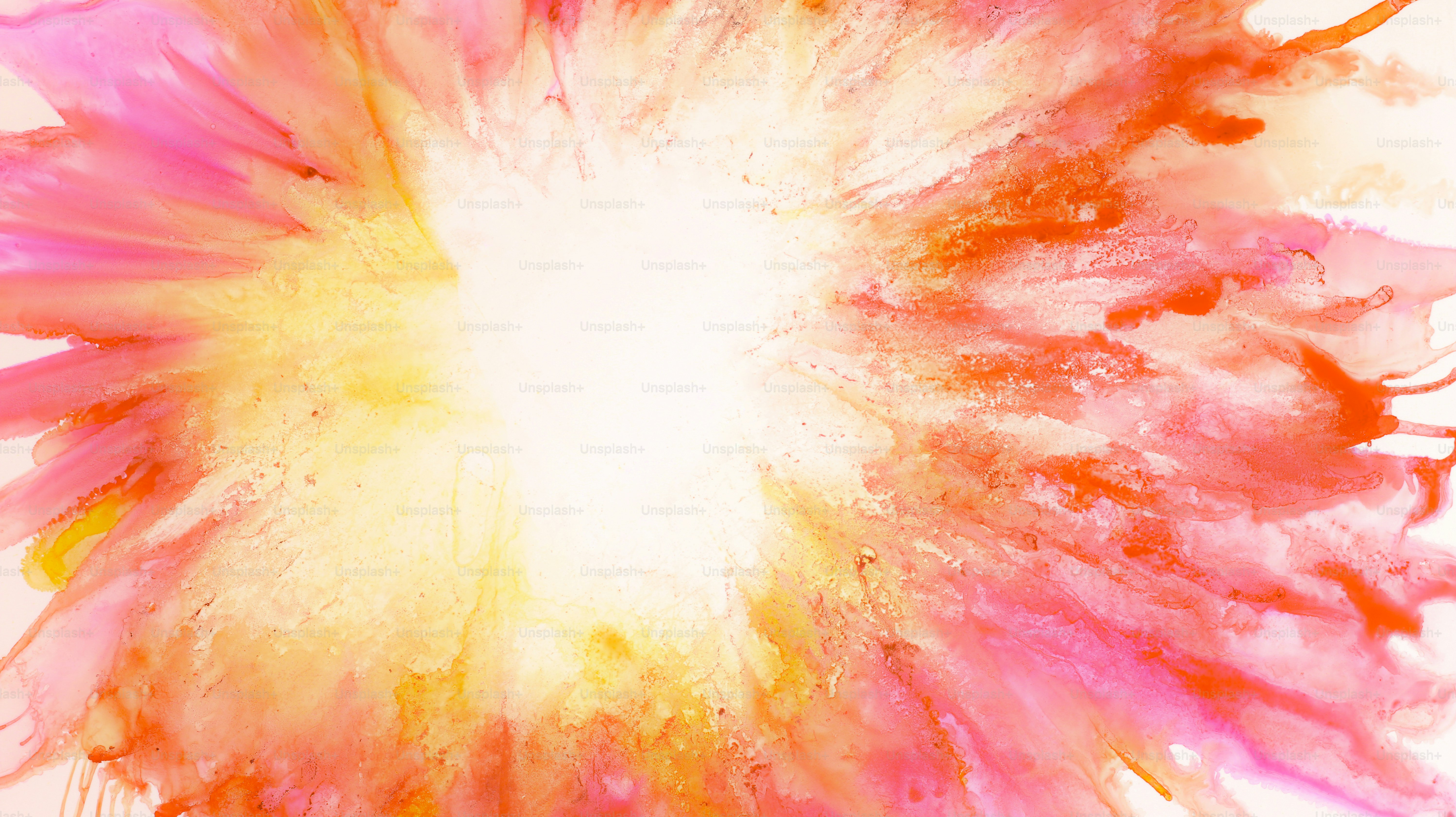 Eine Blume, die sich in der Mitte eines Bildes befindet