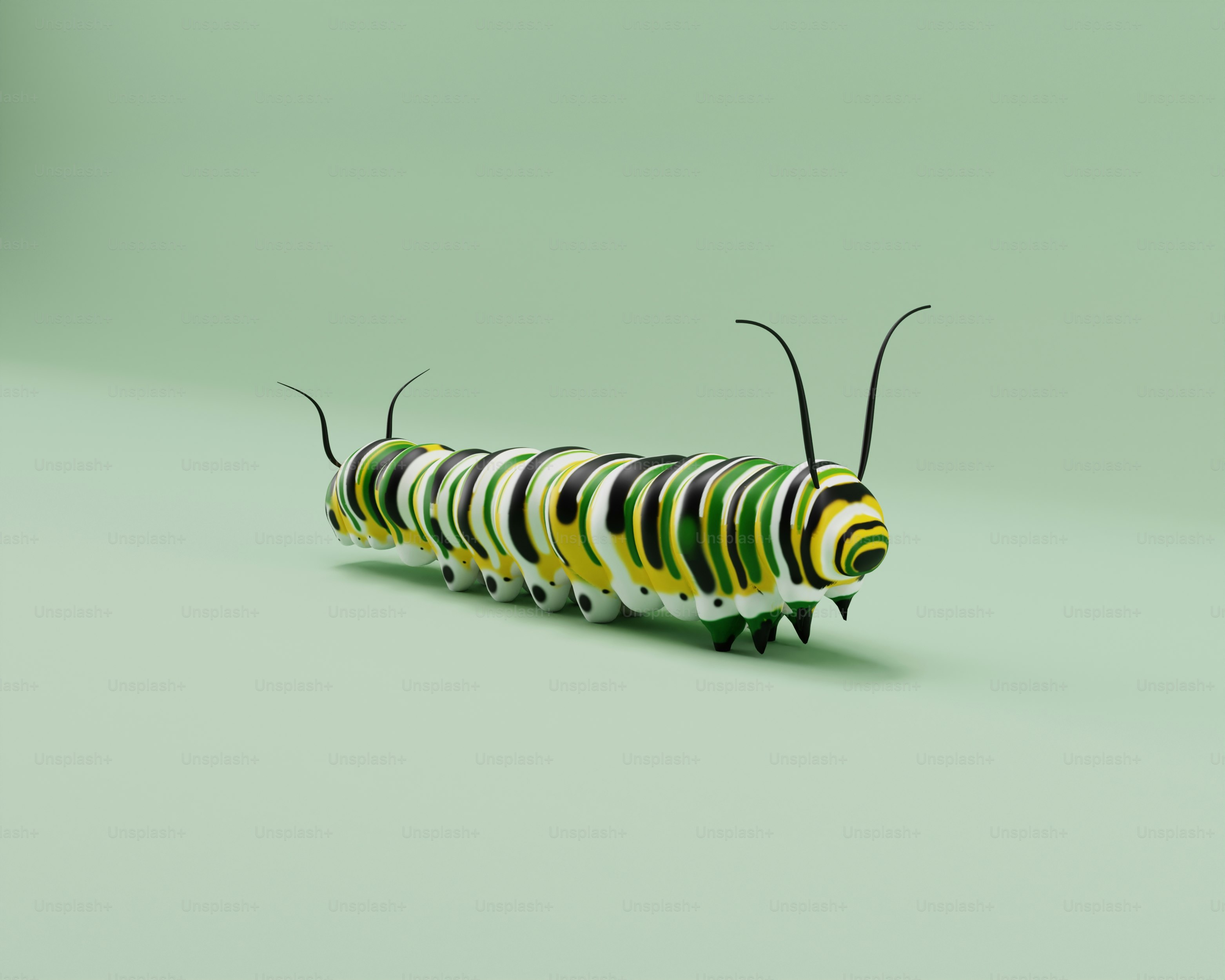 A caterpillar is standing on a green surface