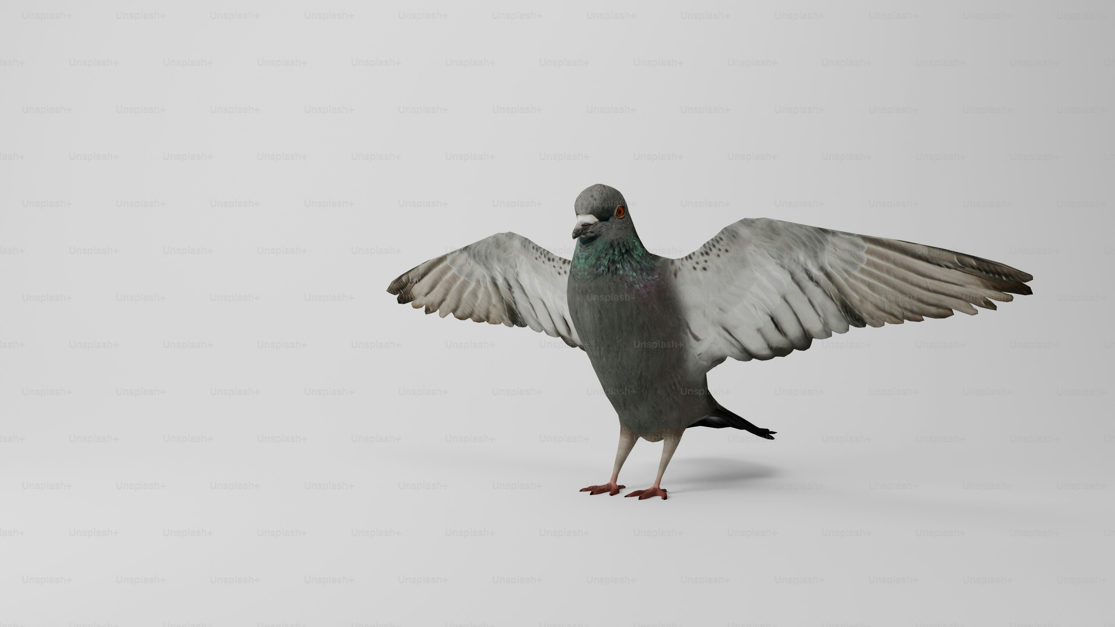 날개를 펴고 서 있는 새 사진 – Unsplash의 동물 이미지, image size:3000x1688