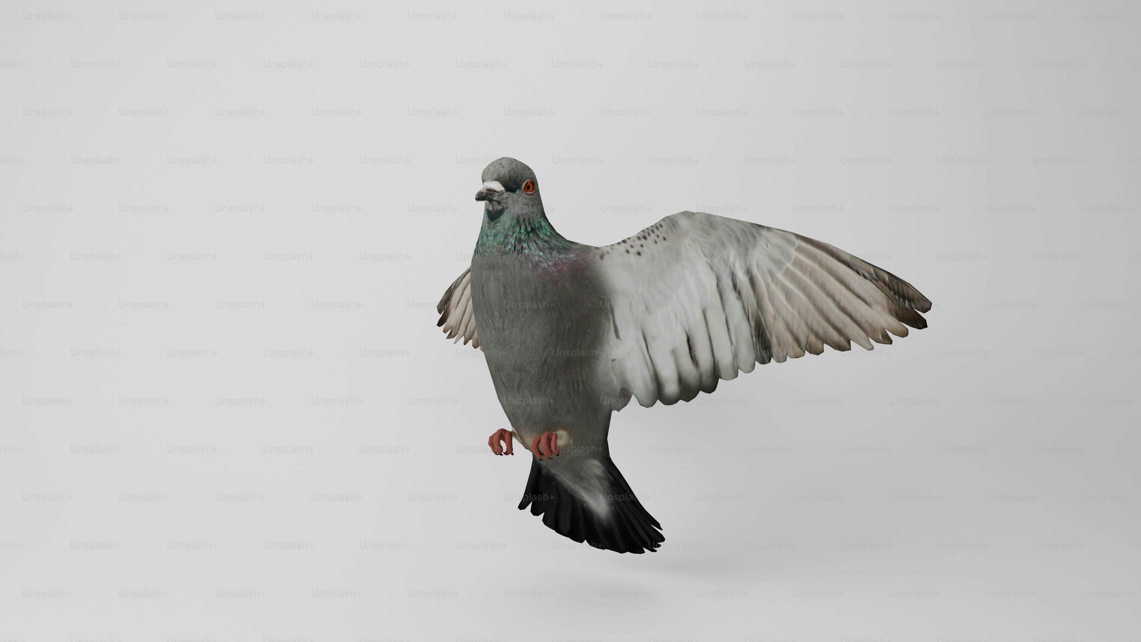 Seekor burung terbang di udara dengan sayap terbentang