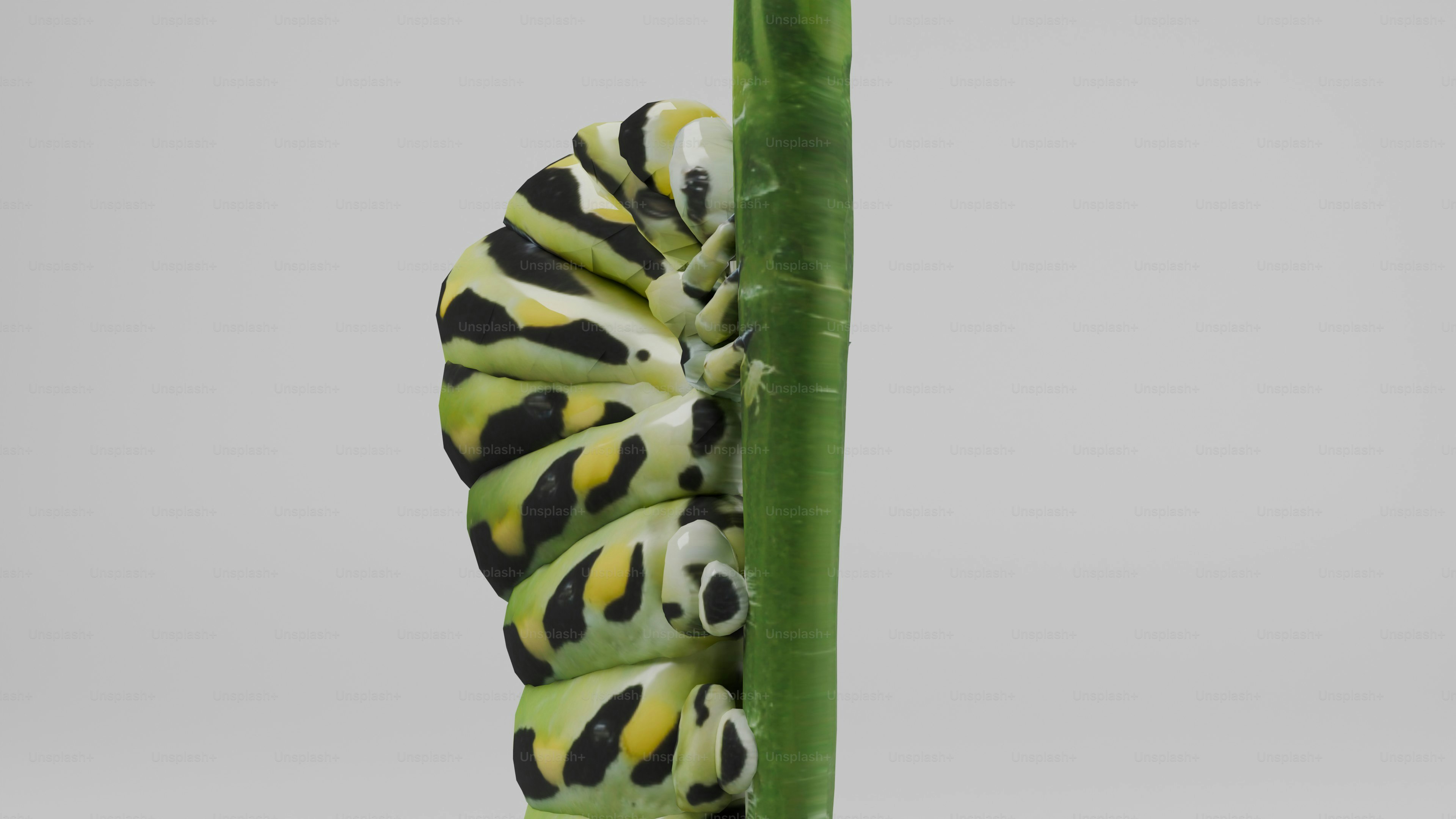A caterpillar crawling on a green stem