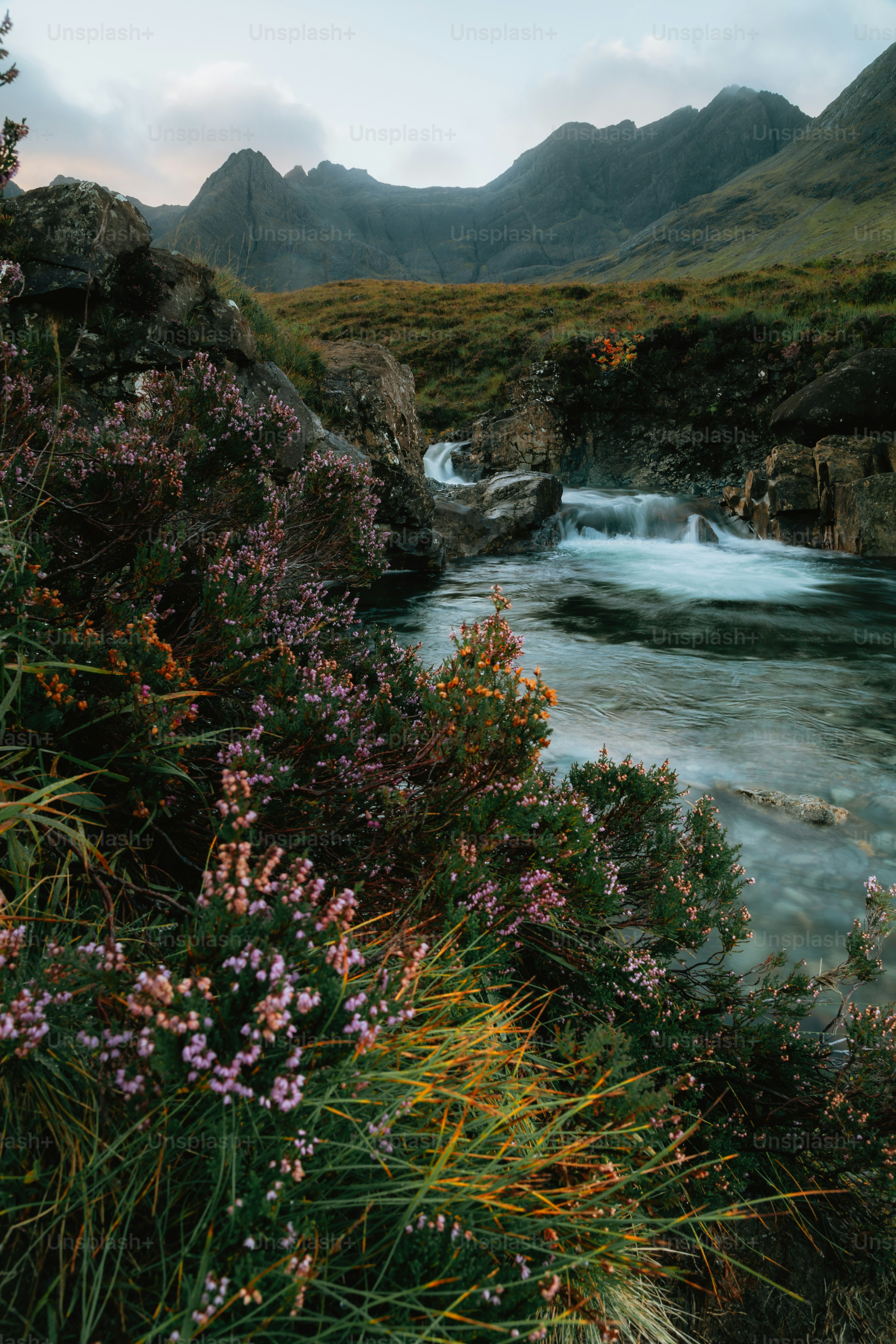 Balladonia, Western Australia