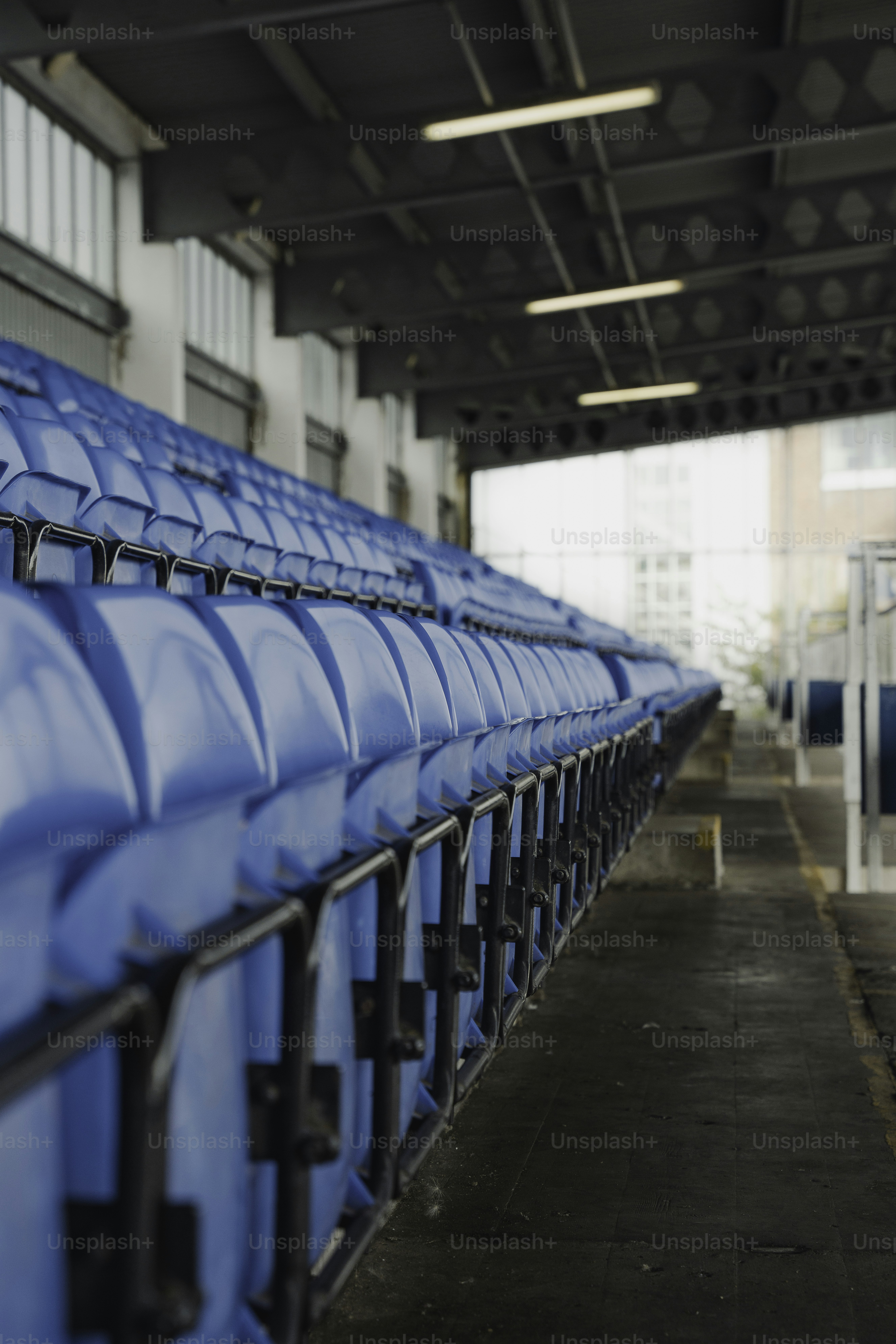 A row of blue seats in a stadium
