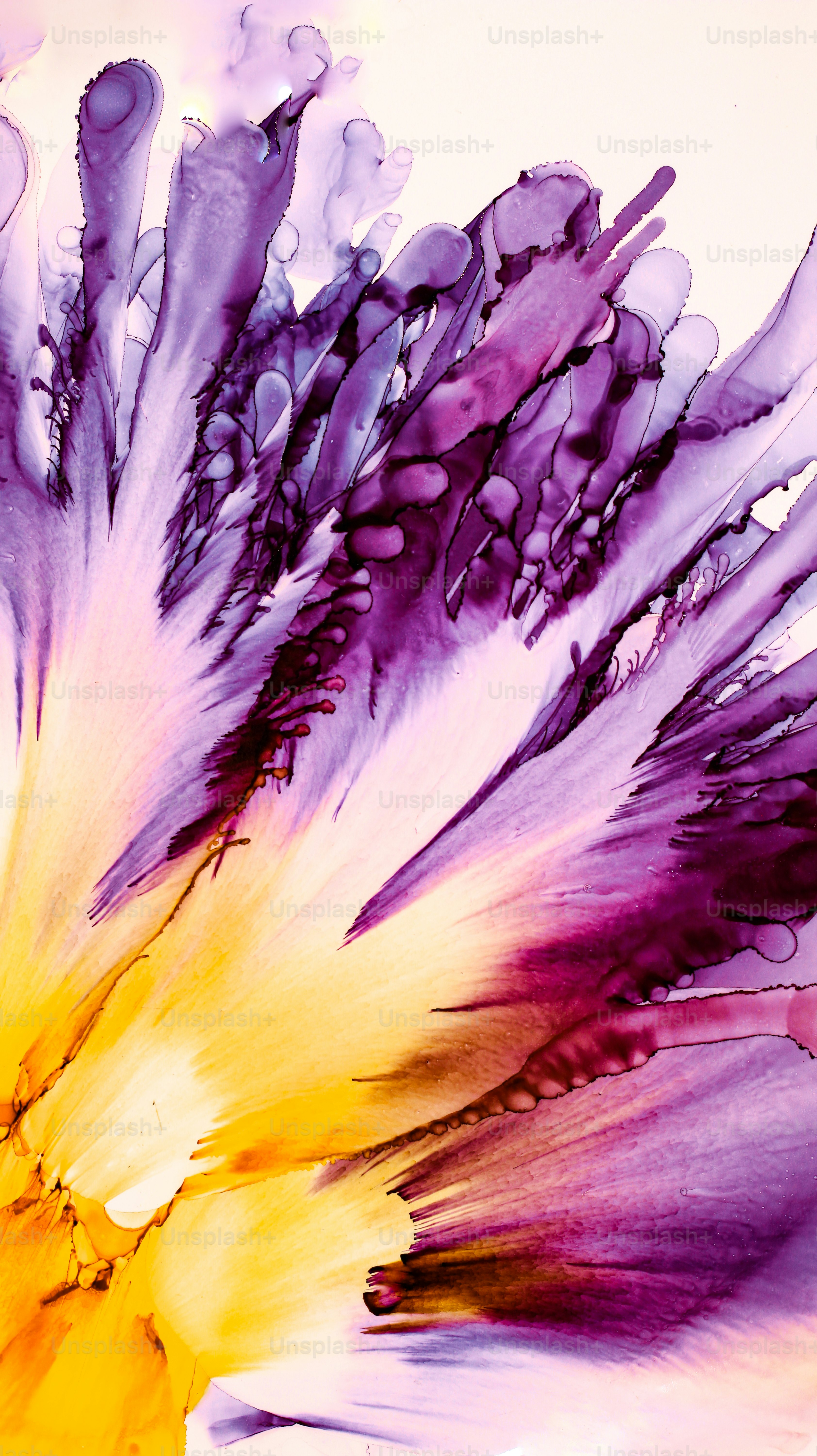 A close up of a purple and yellow flower