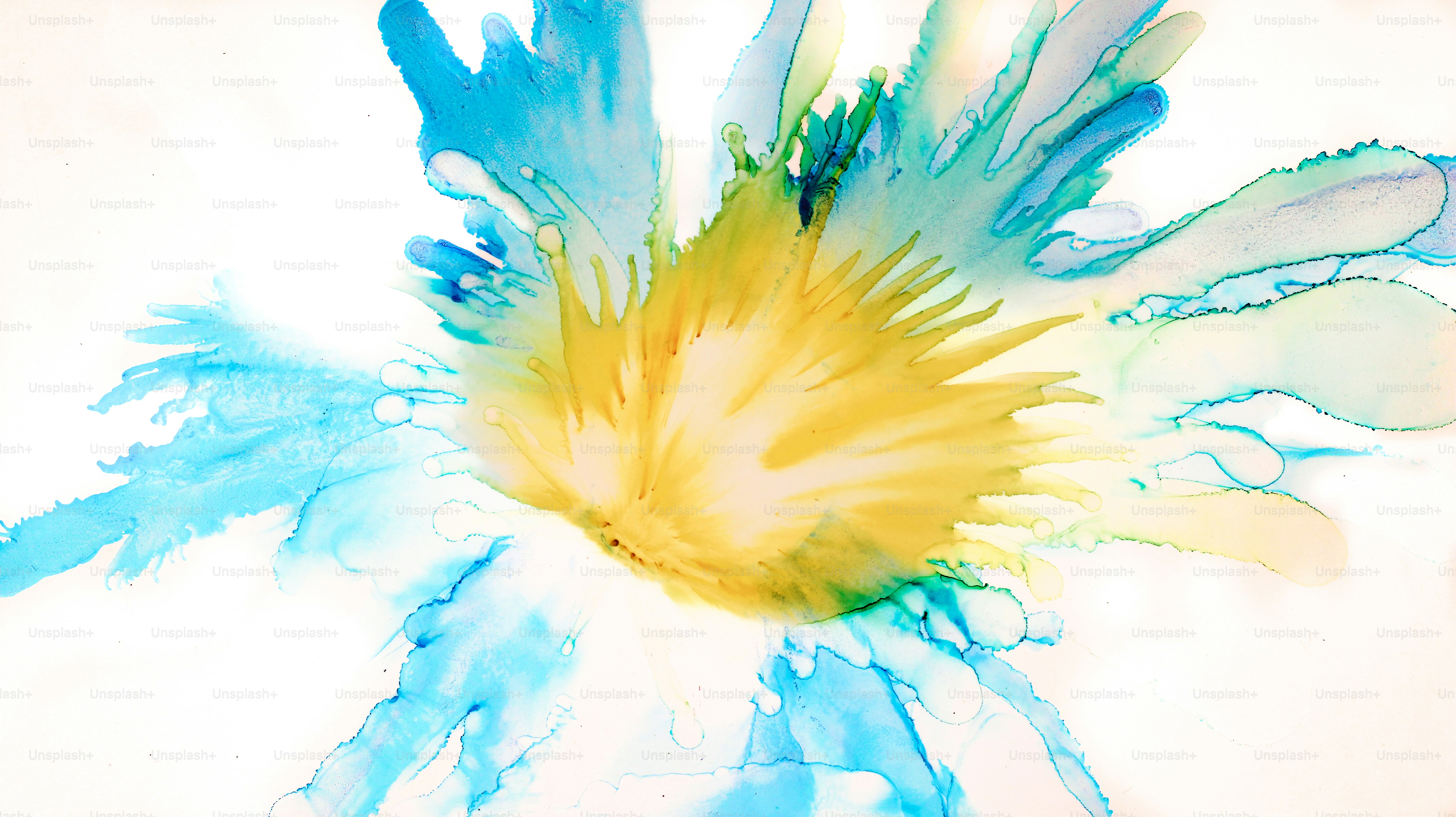 A blue and yellow flower on a white background