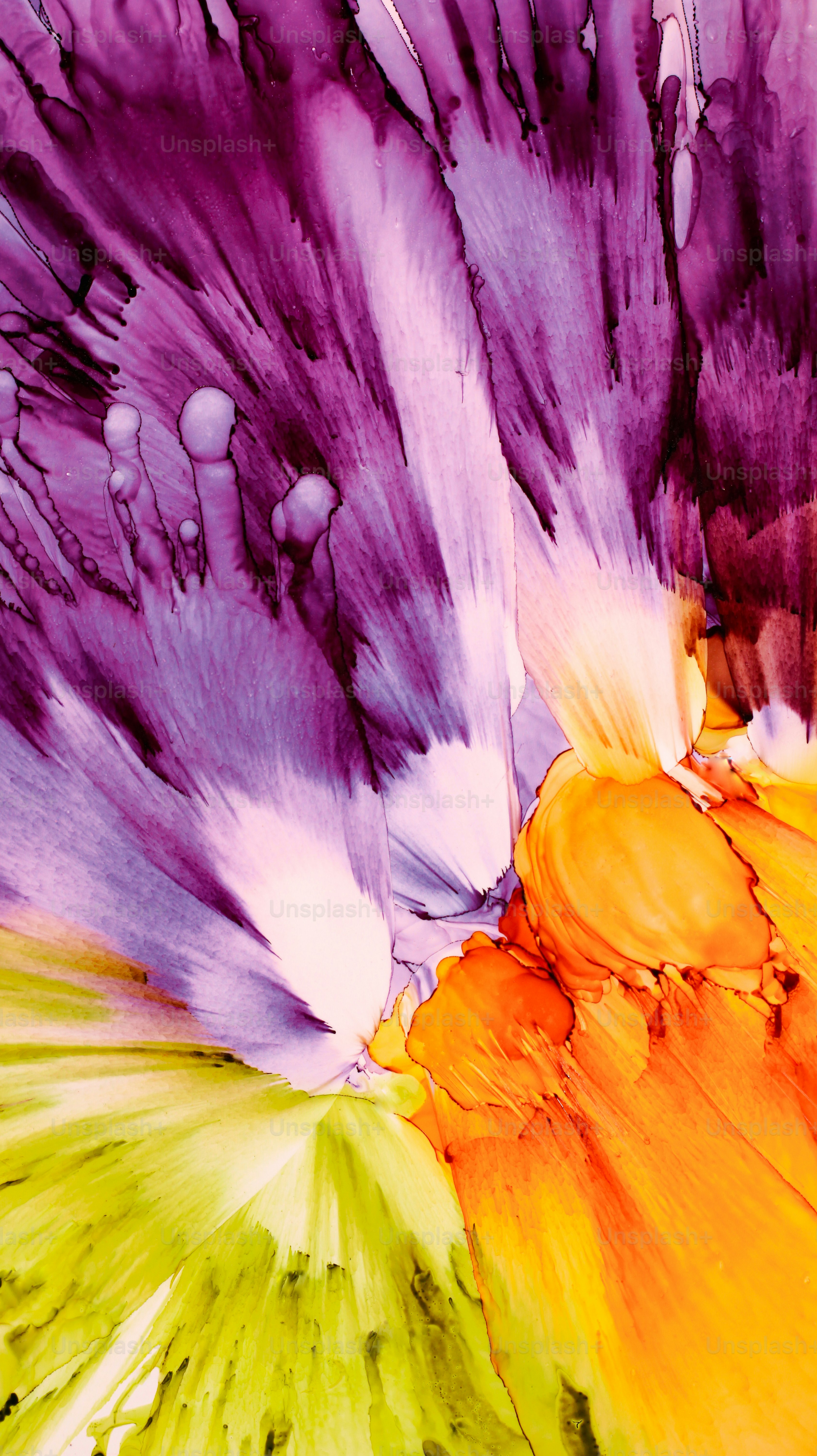 A close up of a multi colored flower
