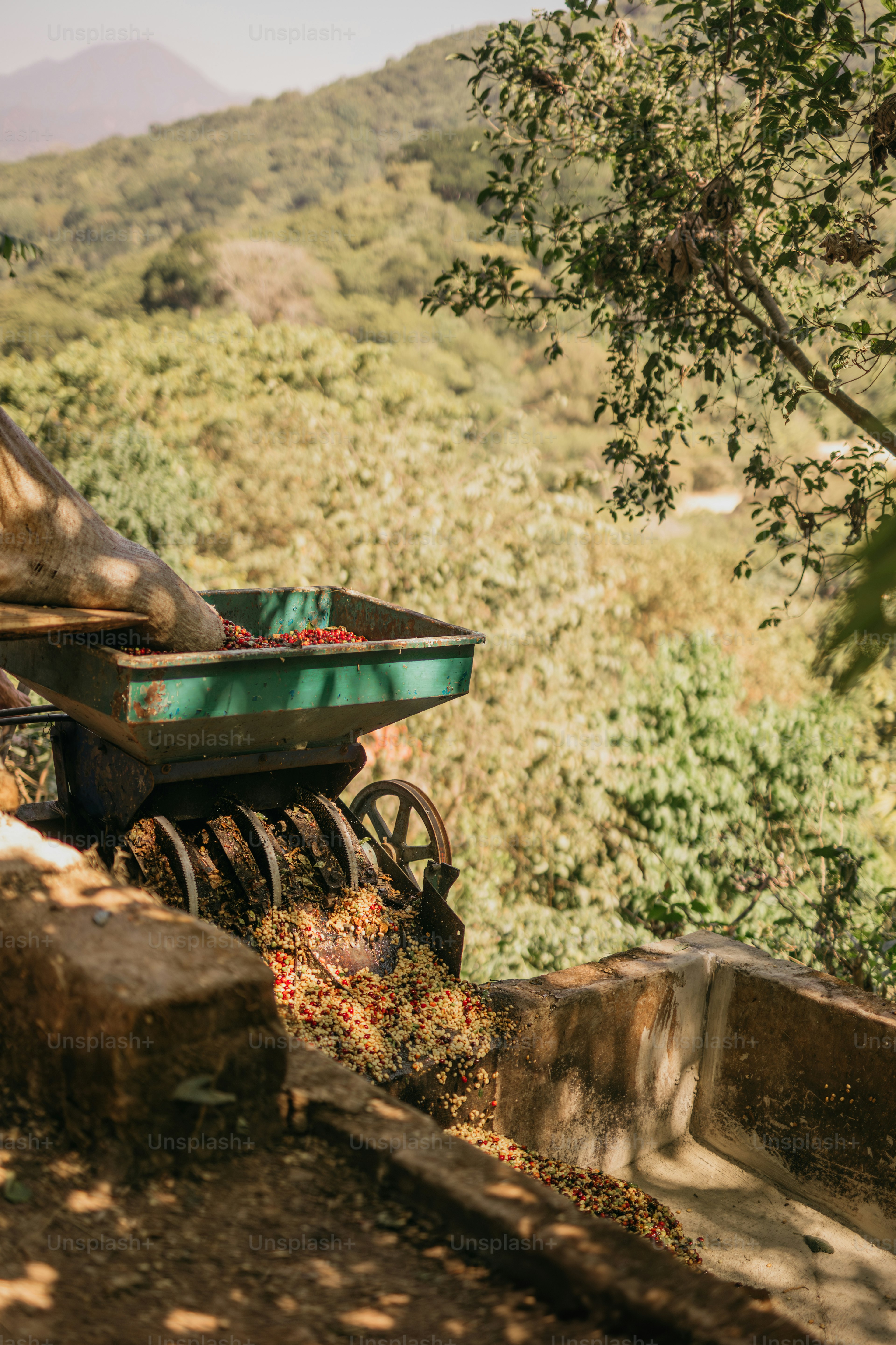 Un cheval tirant un chariot rempli de nourriture