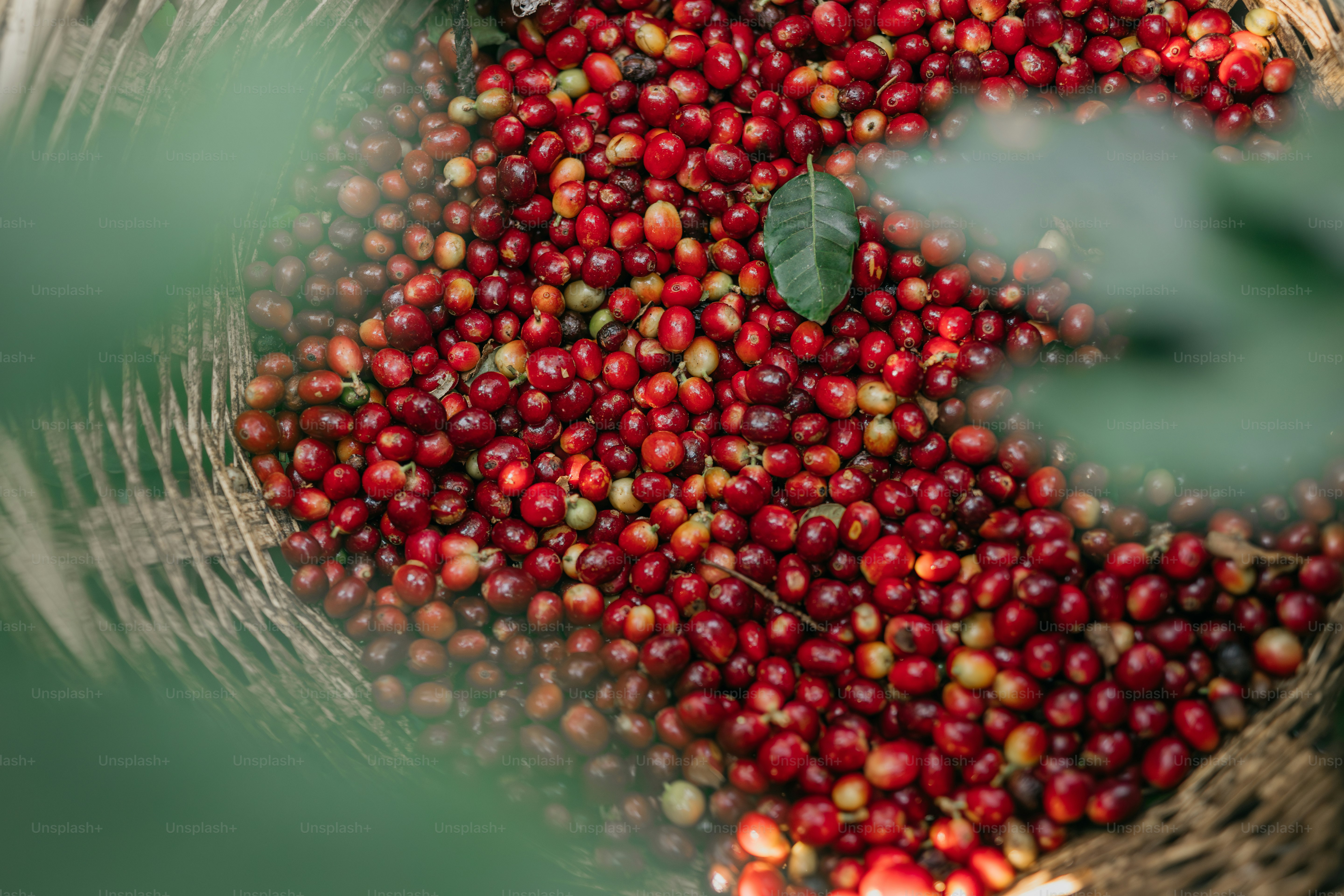 A basket filled with lots of red berries