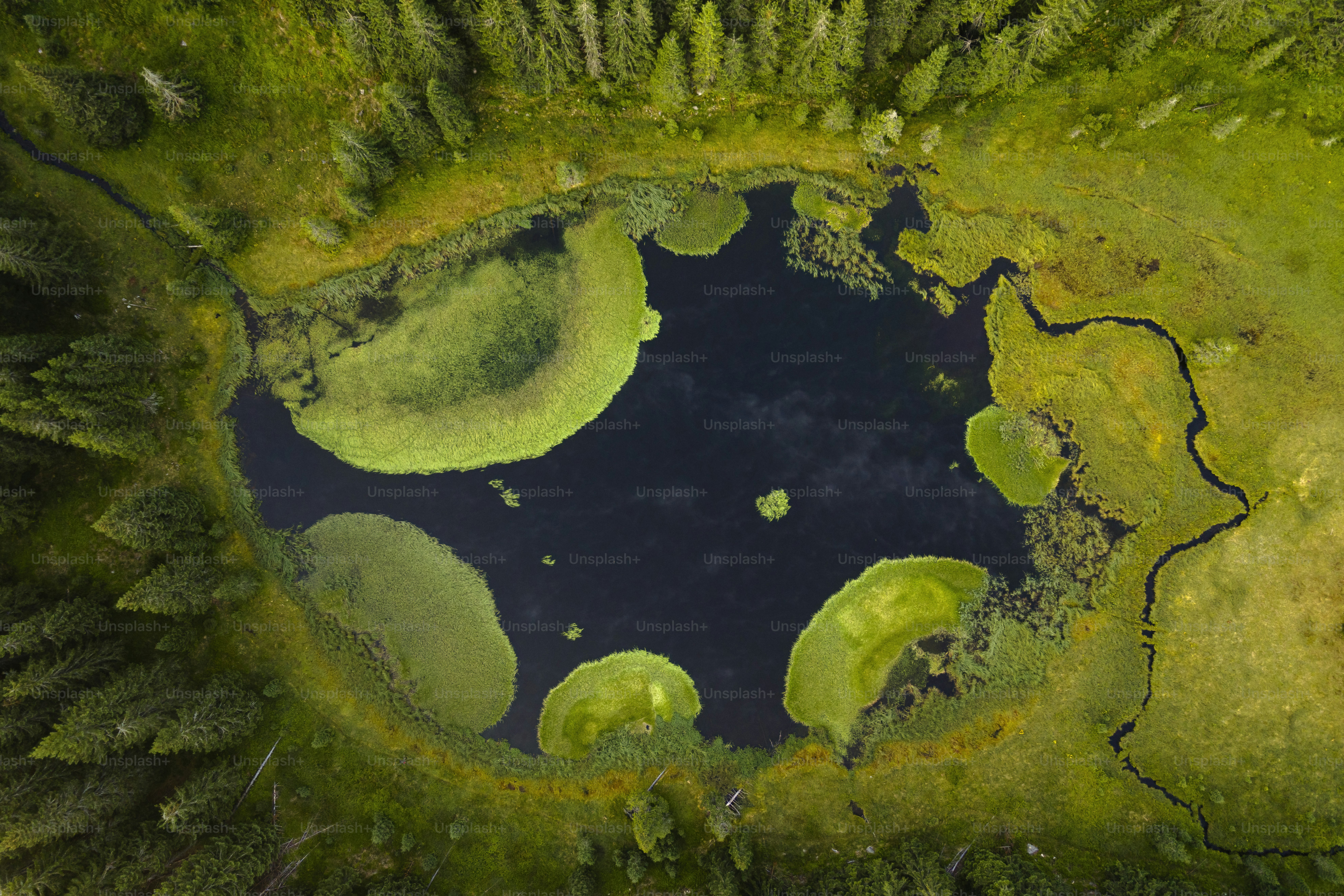 Luftaufnahme eines von Bäumen umgebenen Sees