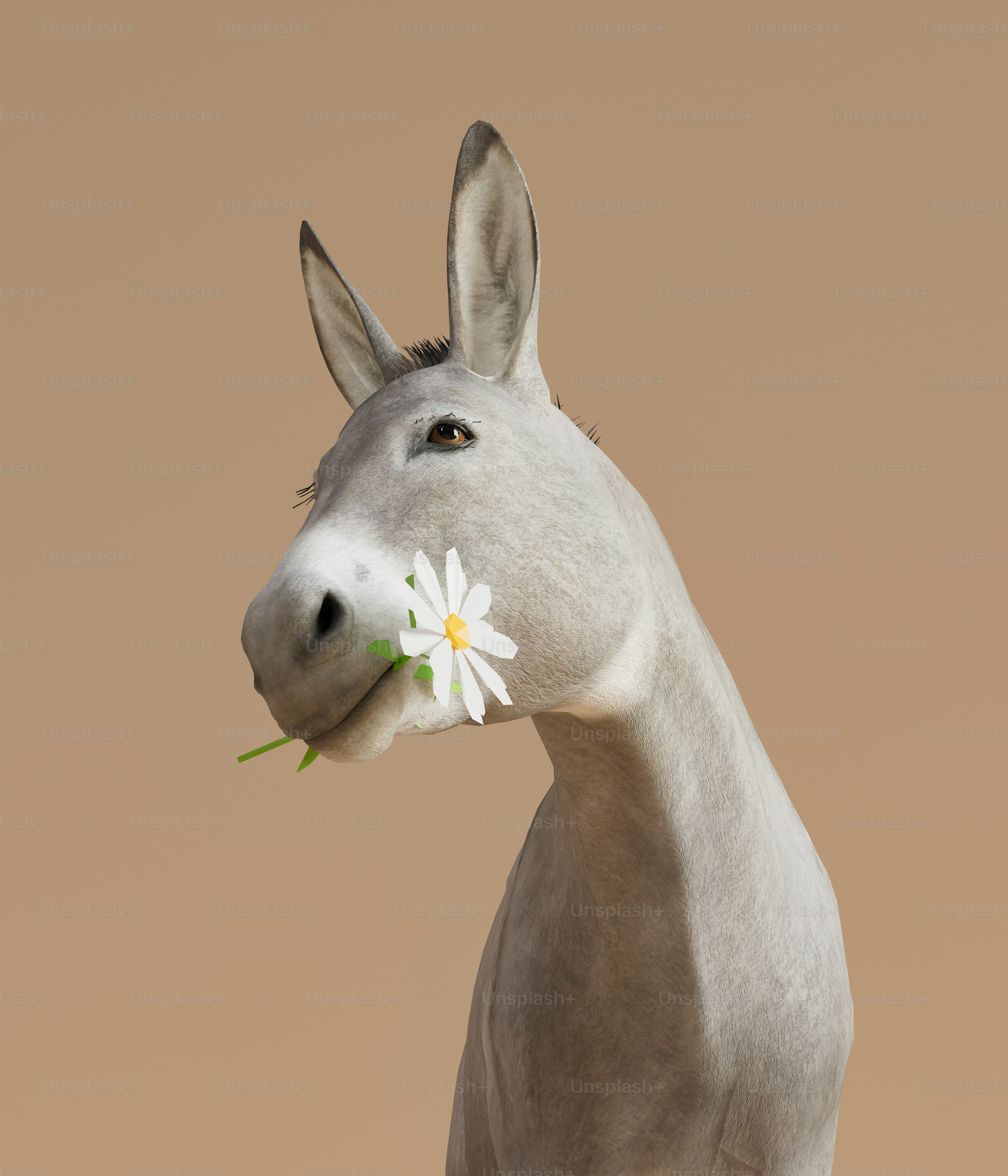 Review: Donkey Kong Bananza Is Superb