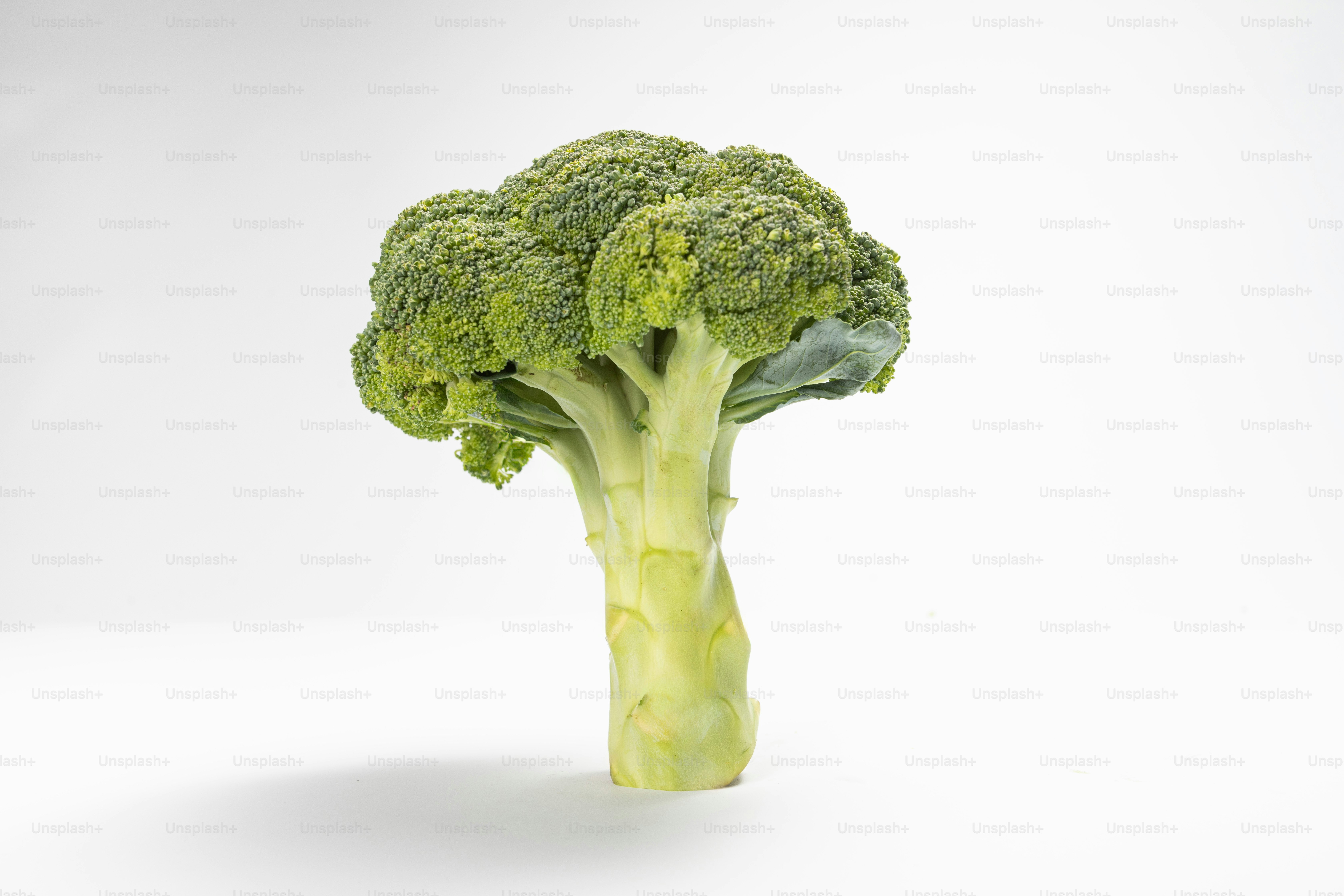 A piece of broccoli on a white background