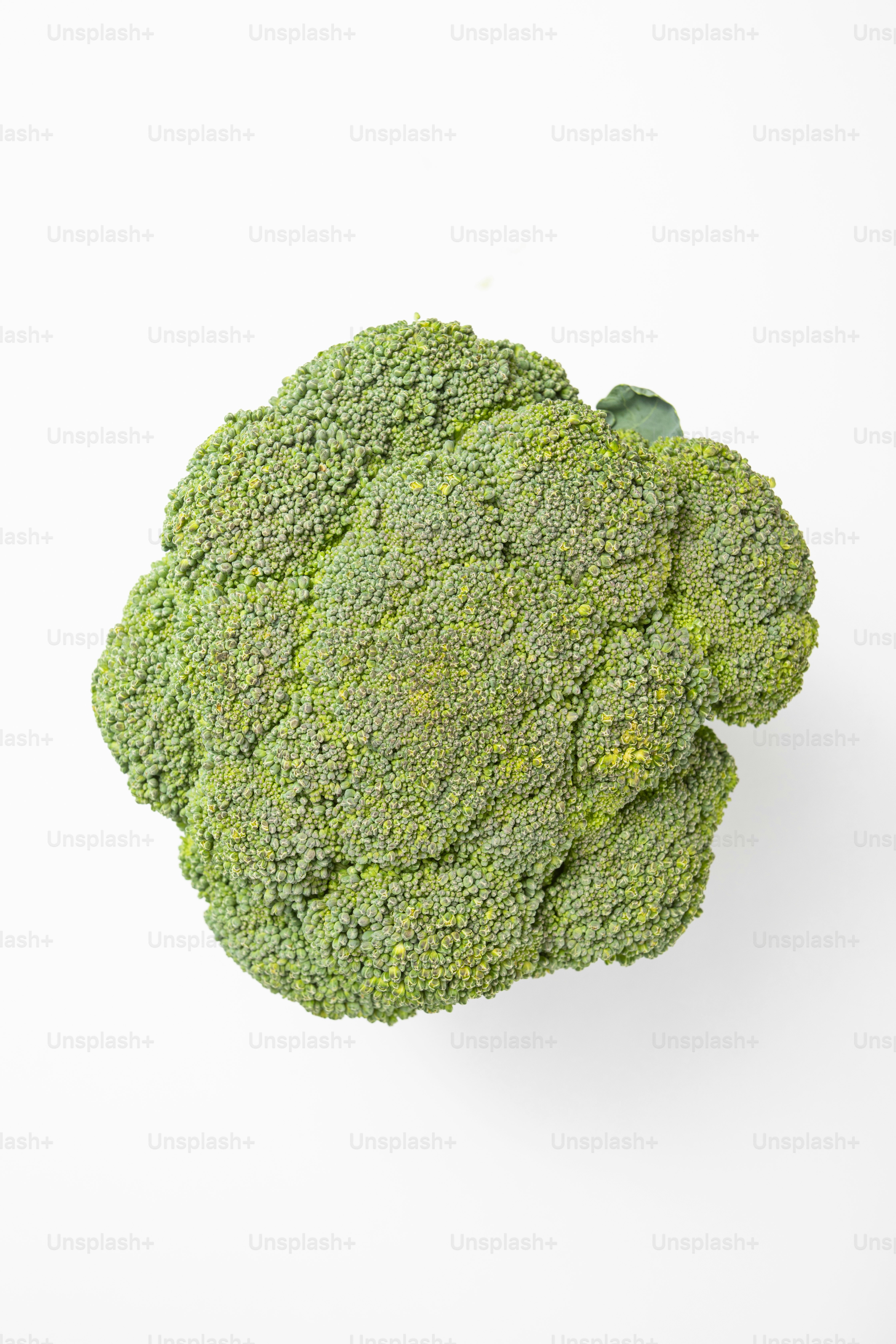 Una cabeza de brócoli sobre un fondo blanco