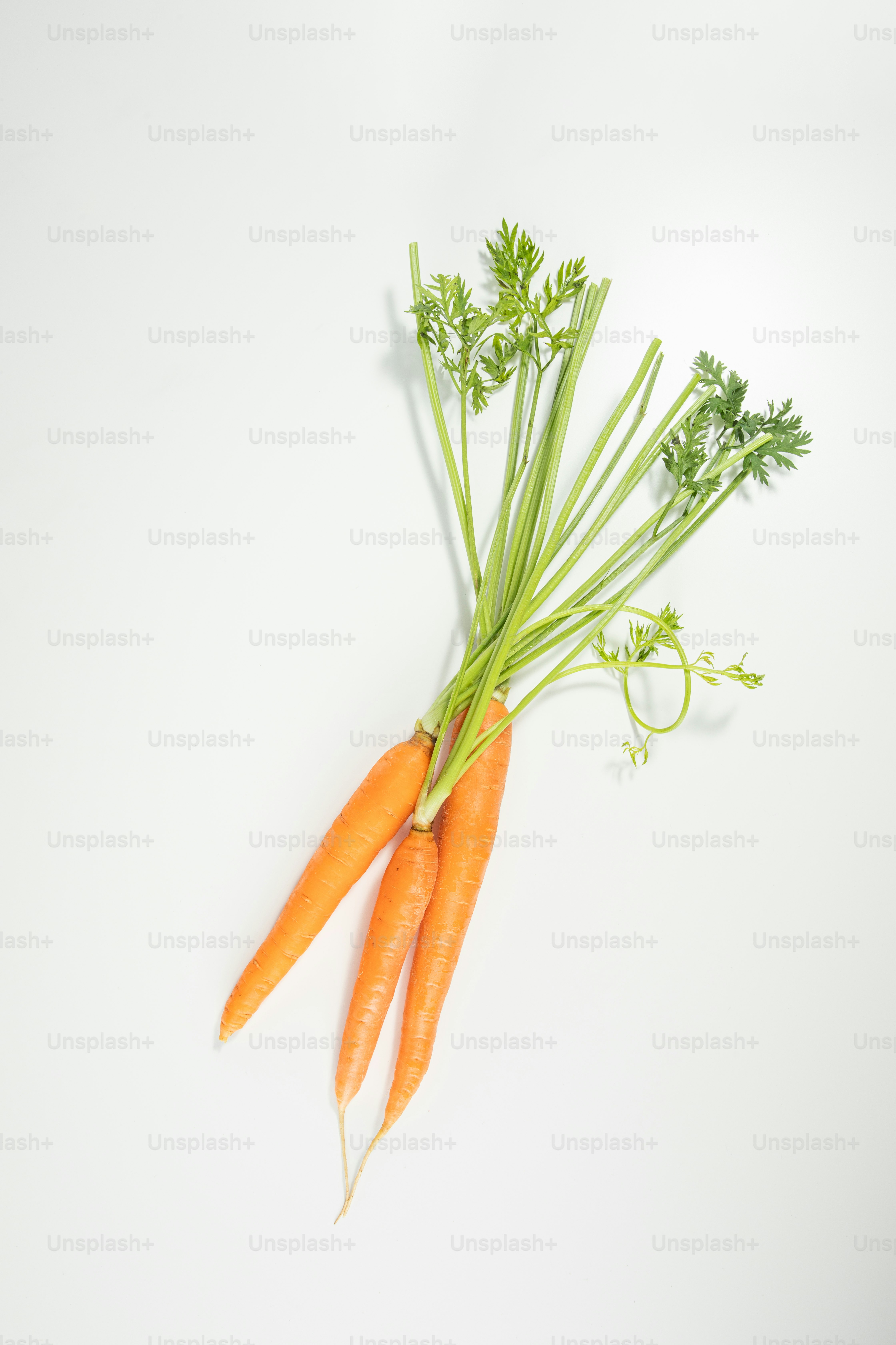 Eine Gruppe von Karotten sitzt auf einem weißen Tisch