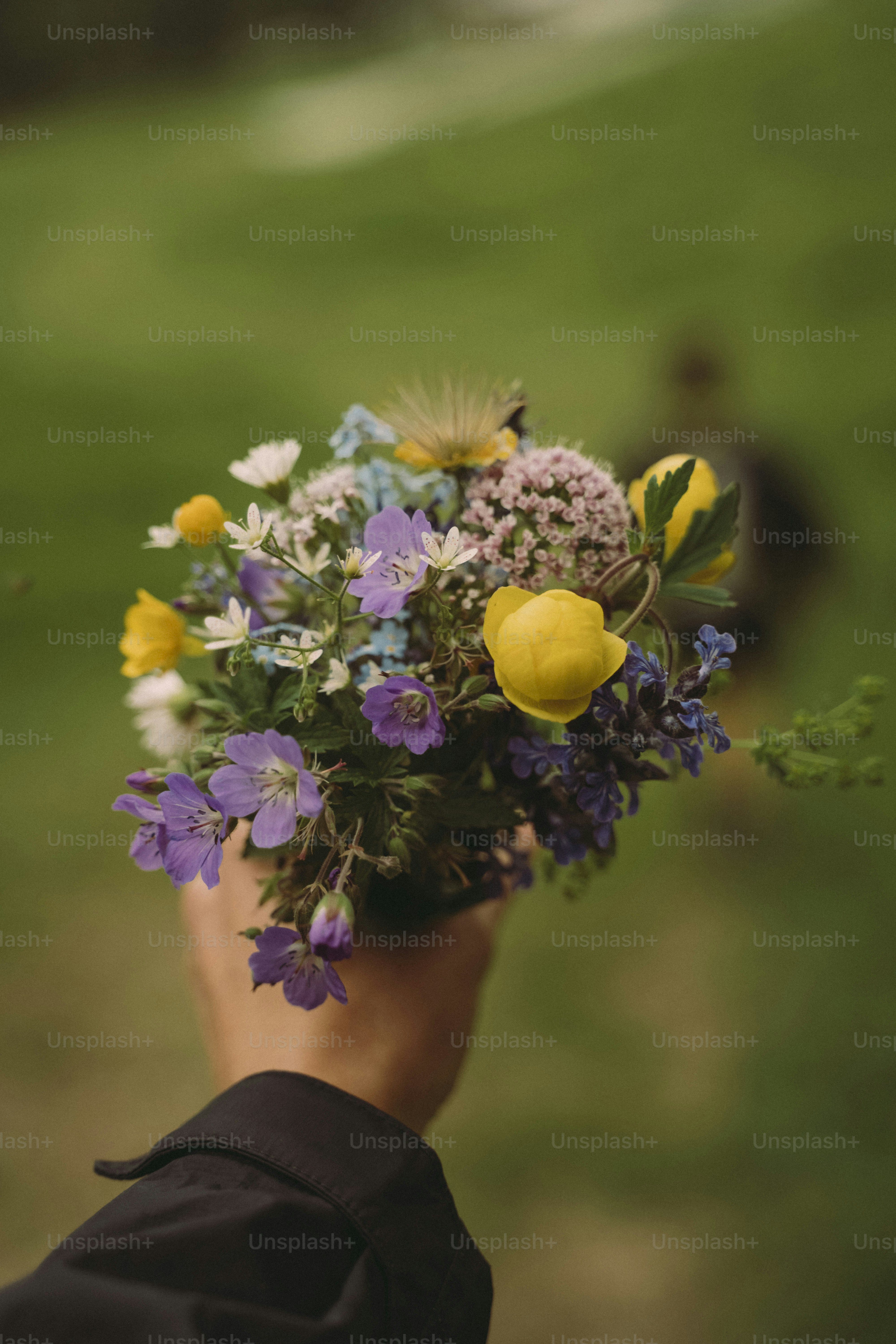 A person holding a bouquet of flowers in their hand