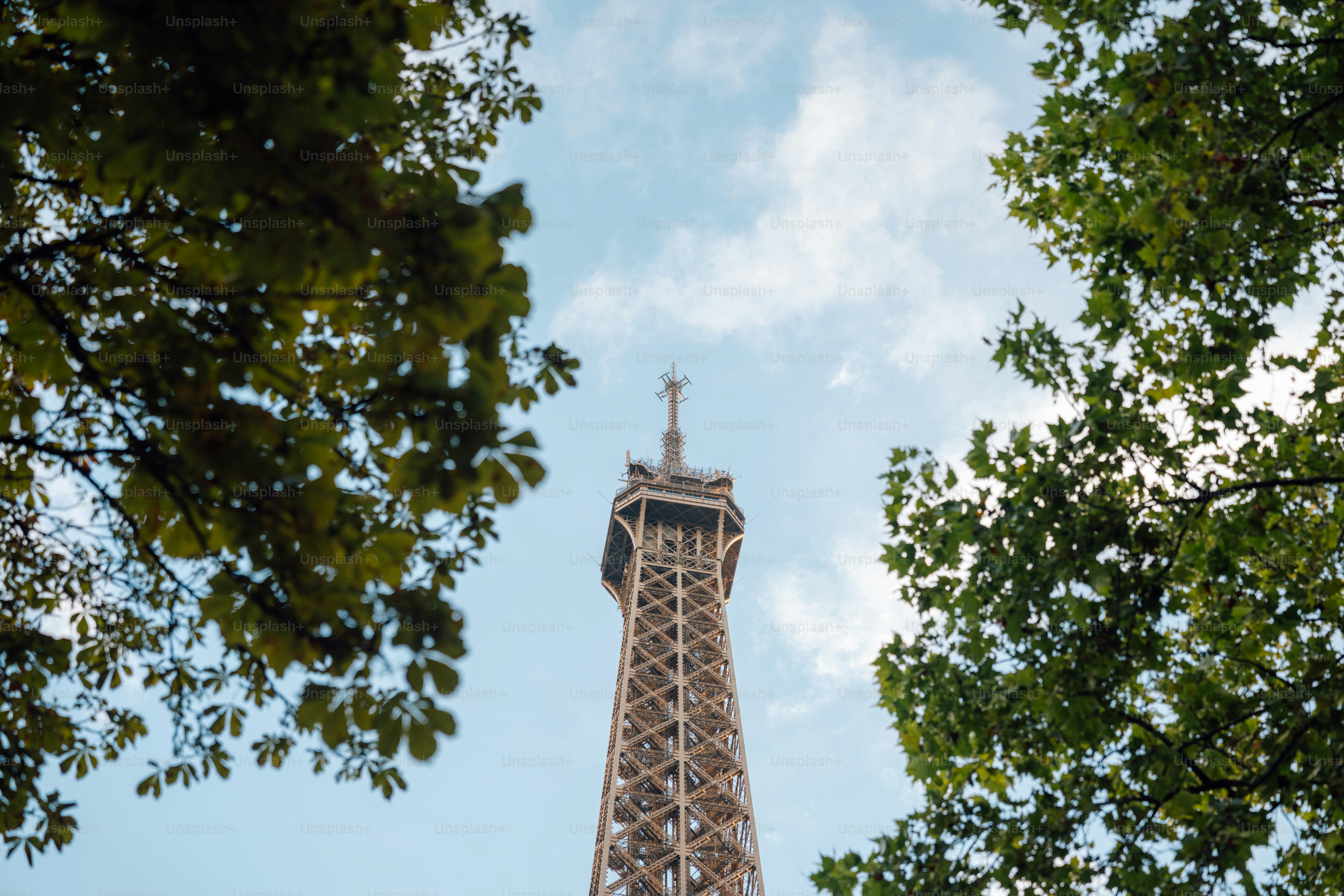 A view of the eiffel tower through the trees