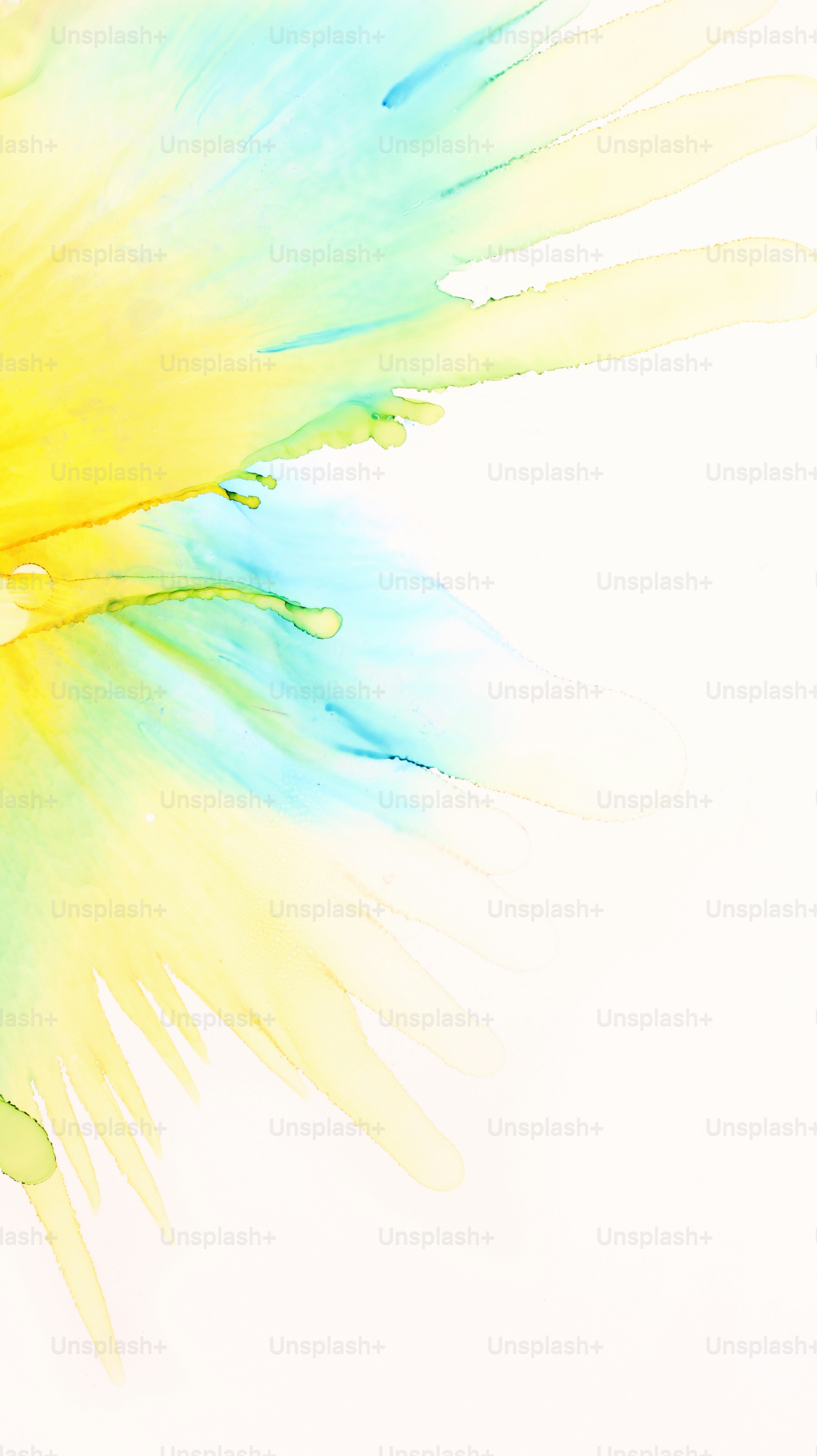 Un gros plan des plumes colorées d’un oiseau sur un fond blanc