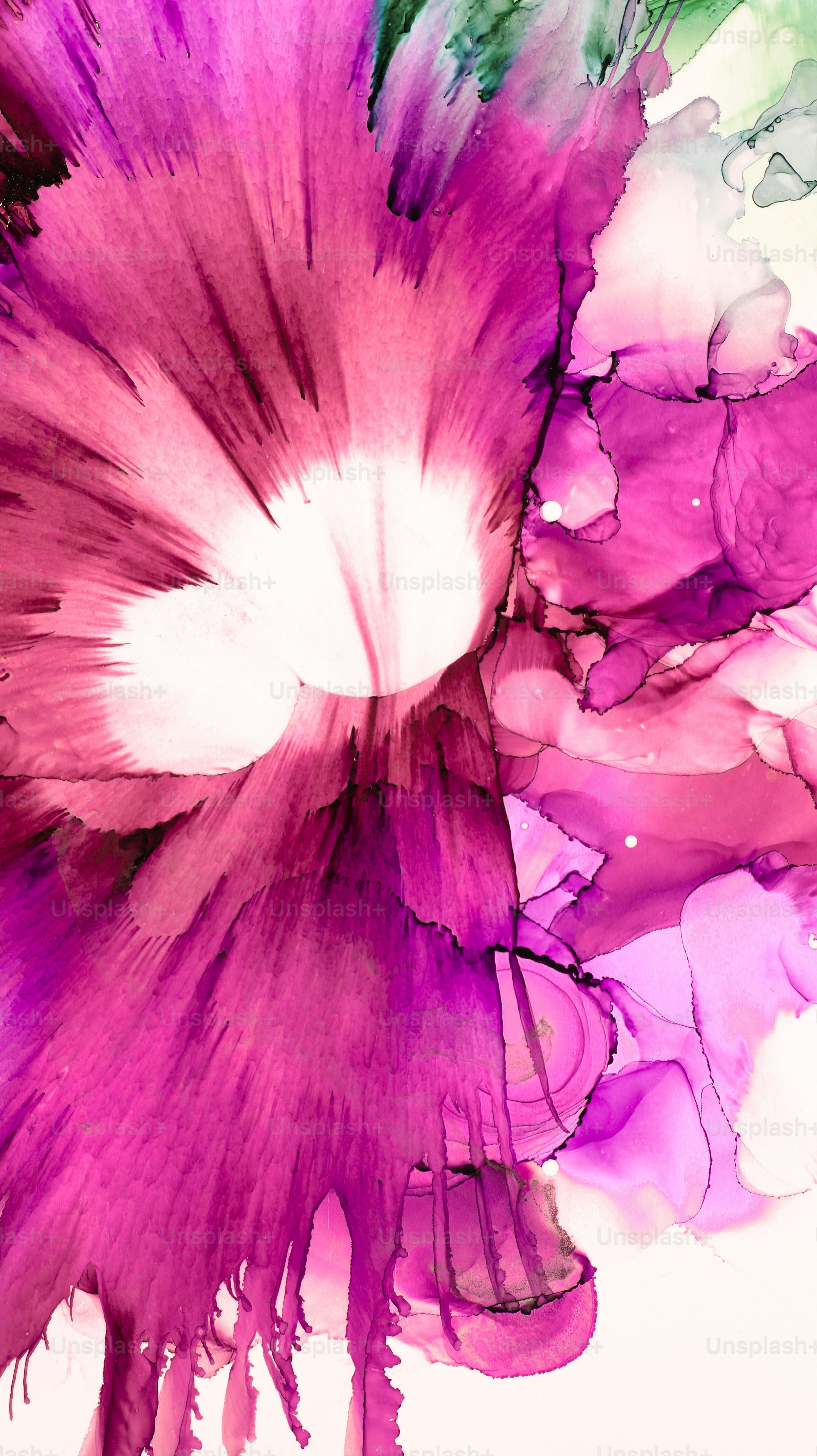 A close up of a purple flower on a white background