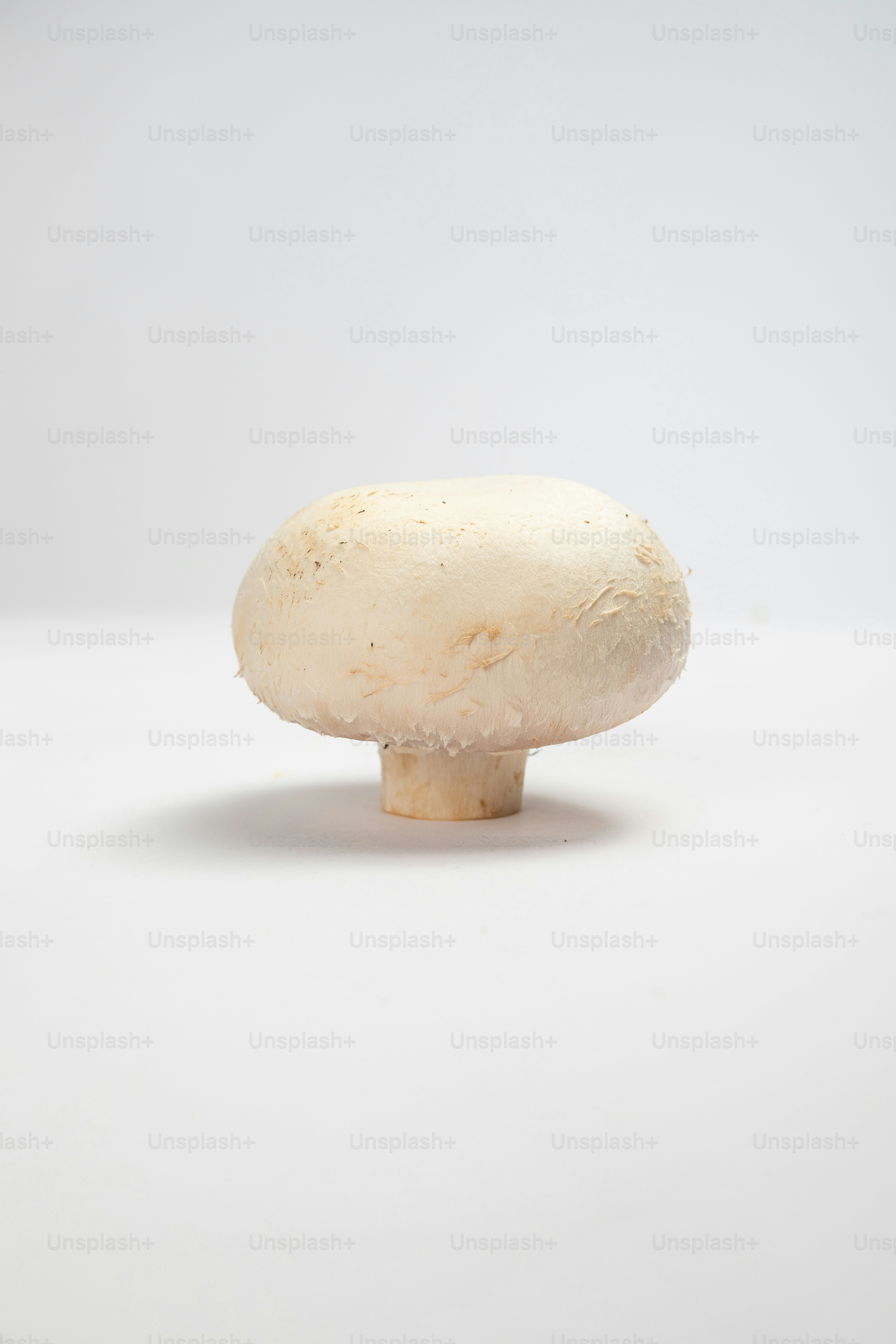 Un hongo sentado encima de una mesa blanca