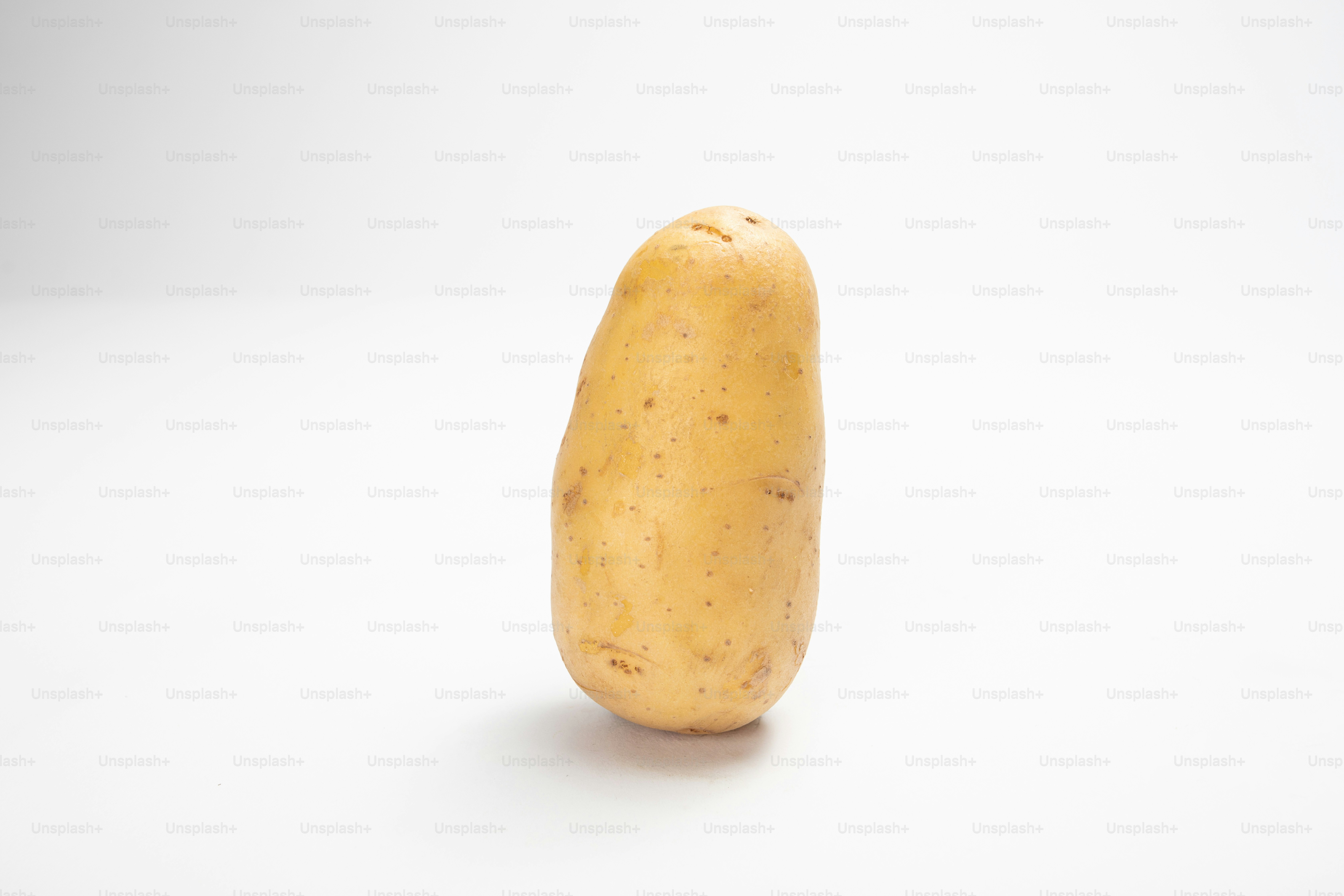 Una sola patata sobre un fondo blanco