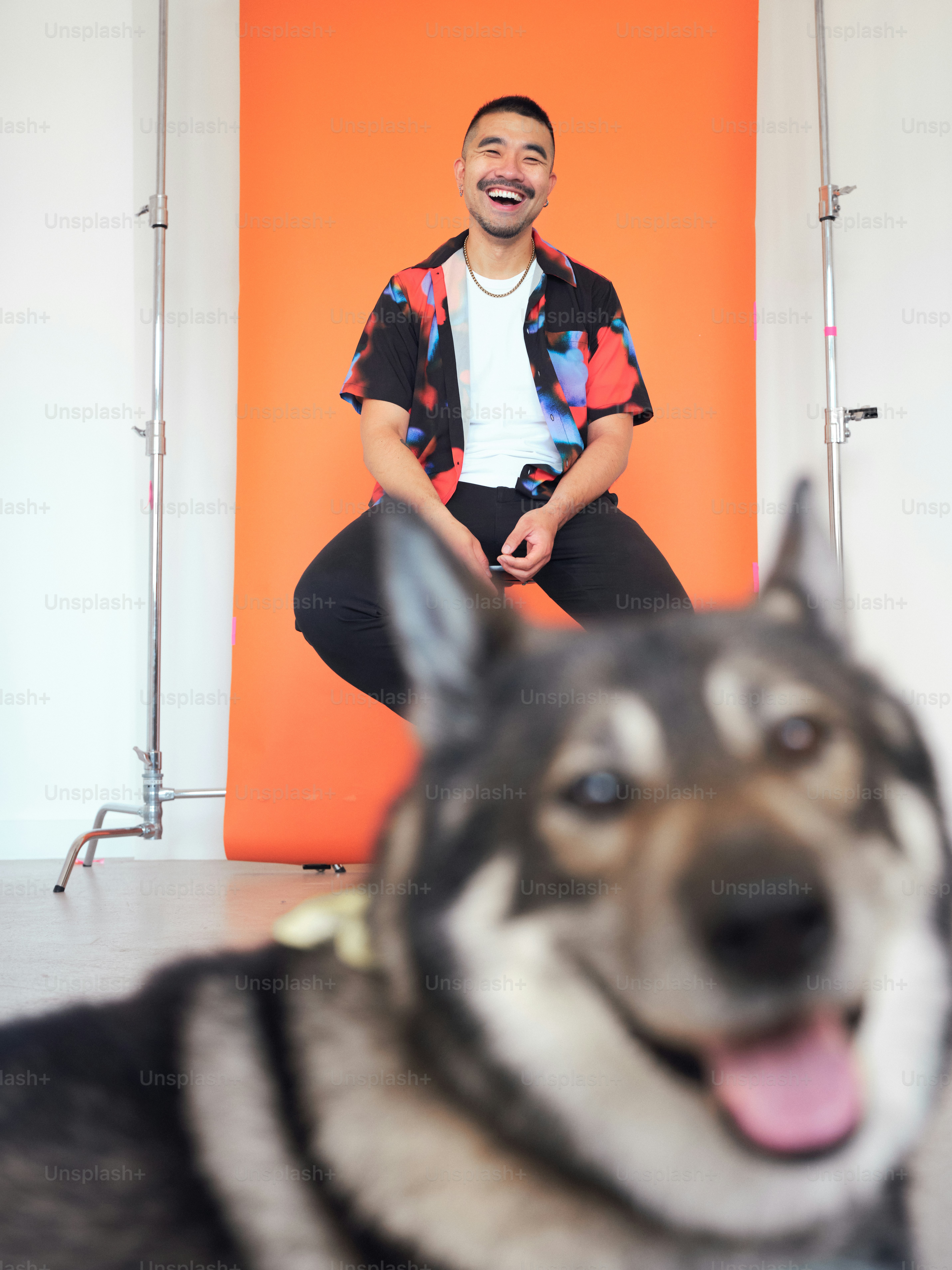 um, homem, sentando, ligado, um, cadeira, ao lado, um, cachorro