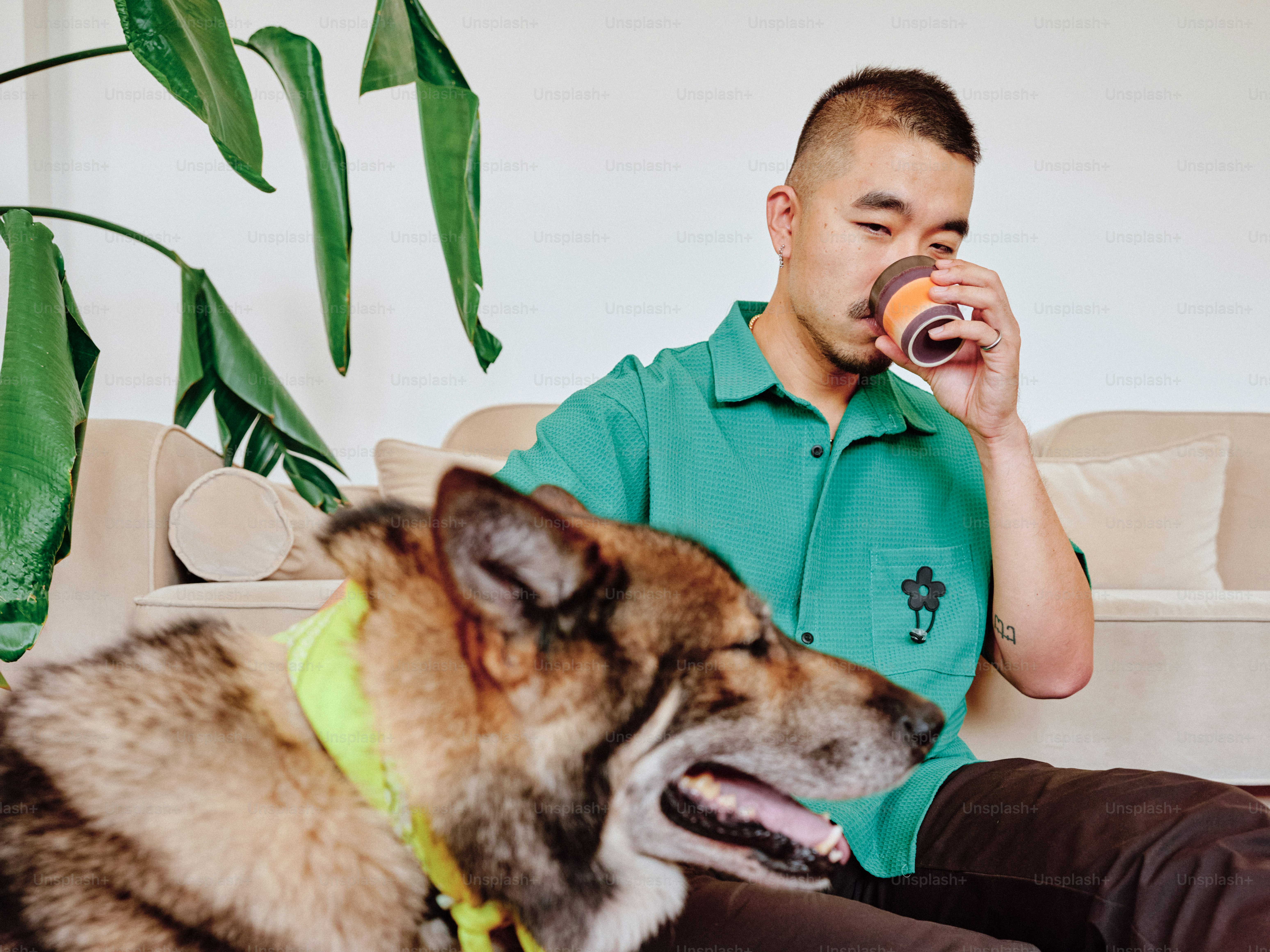 A man sitting on a couch next to a dog photo – Dog Image on Unsplash