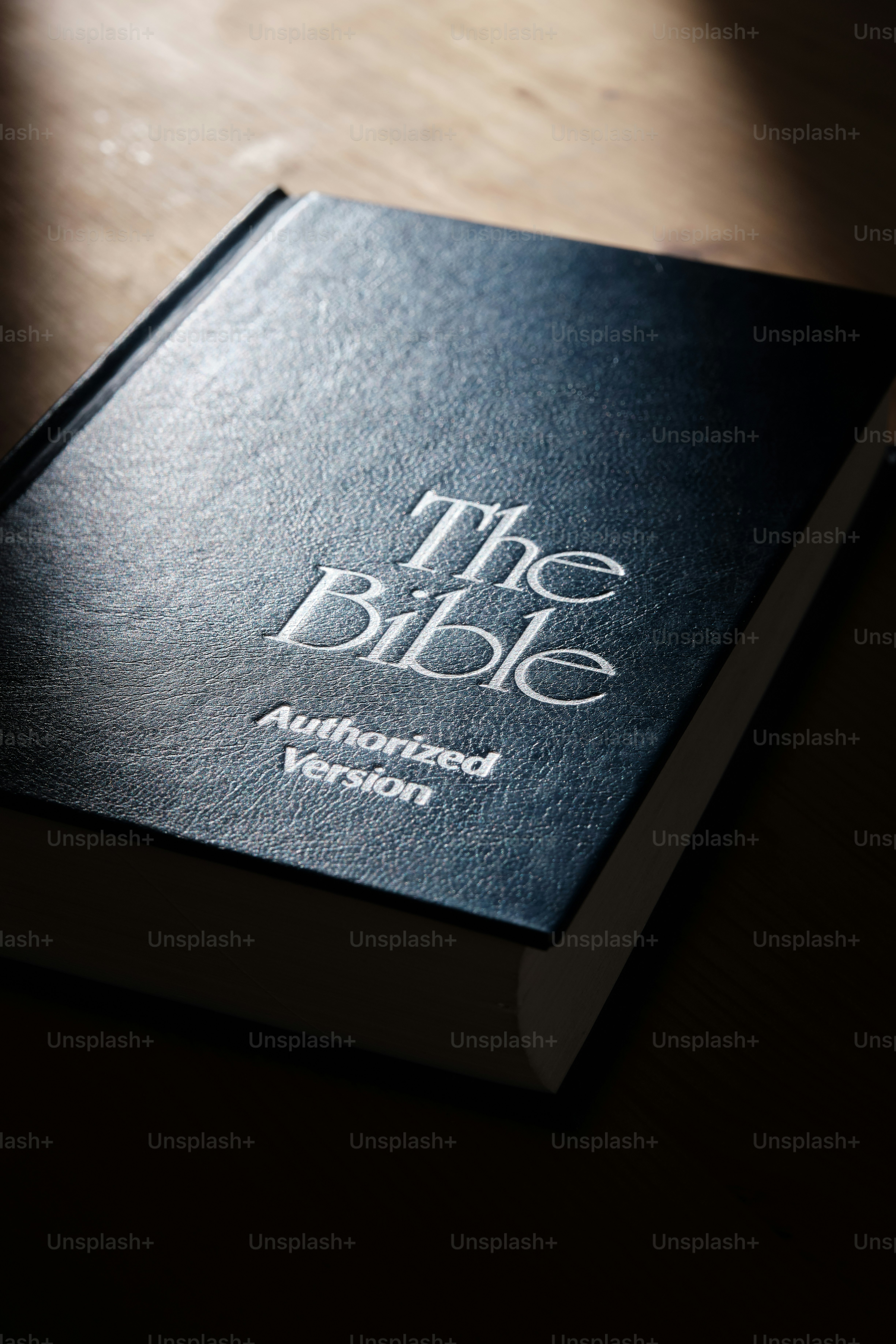 Decoding the Zyzz Bodybuilding Bible: A Comprehensive Review