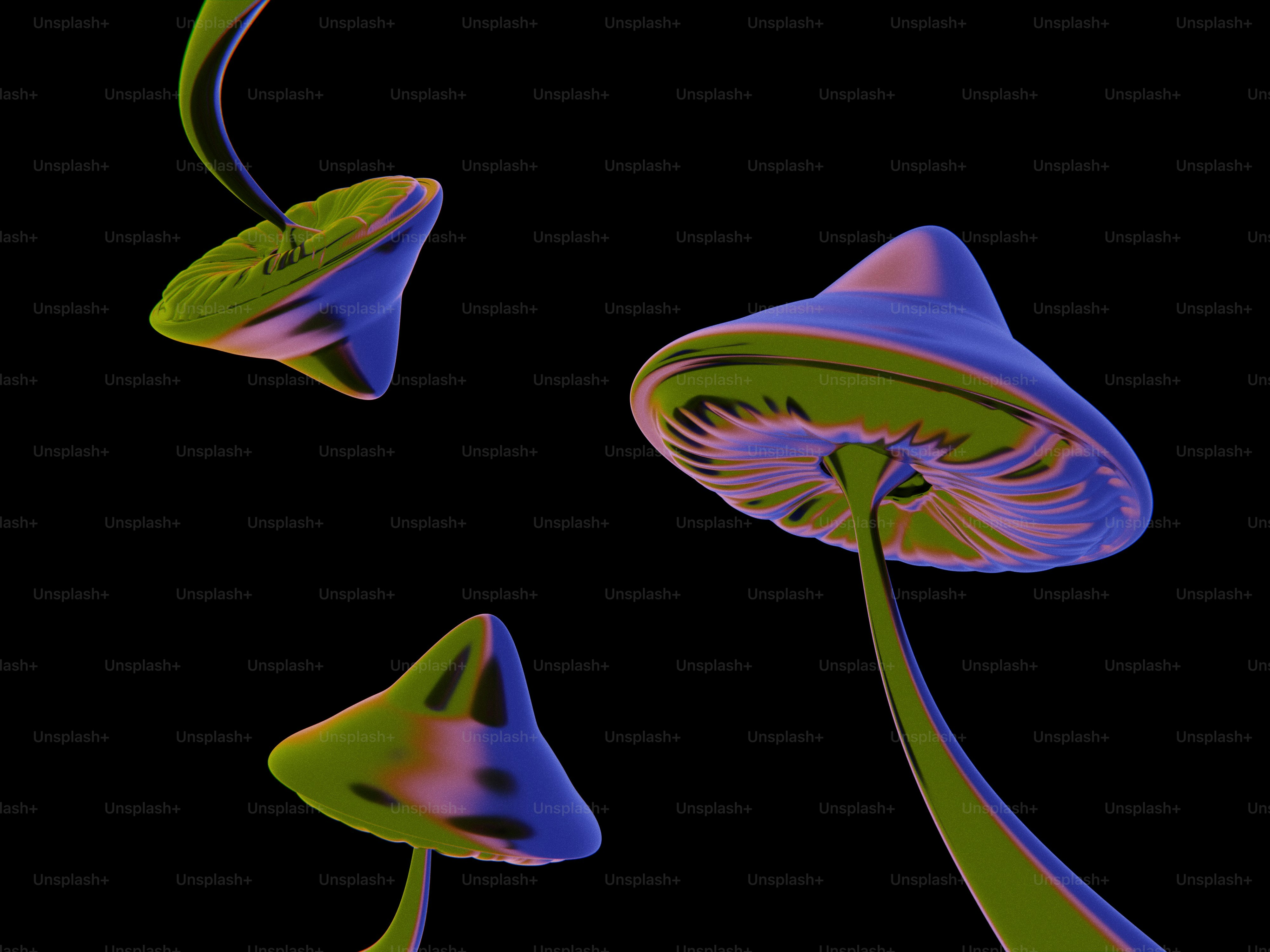 Imágenes de Fondo De Pantalla De Hongos | Descarga imágenes gratuitas en  Unsplash, image size:3000x2250