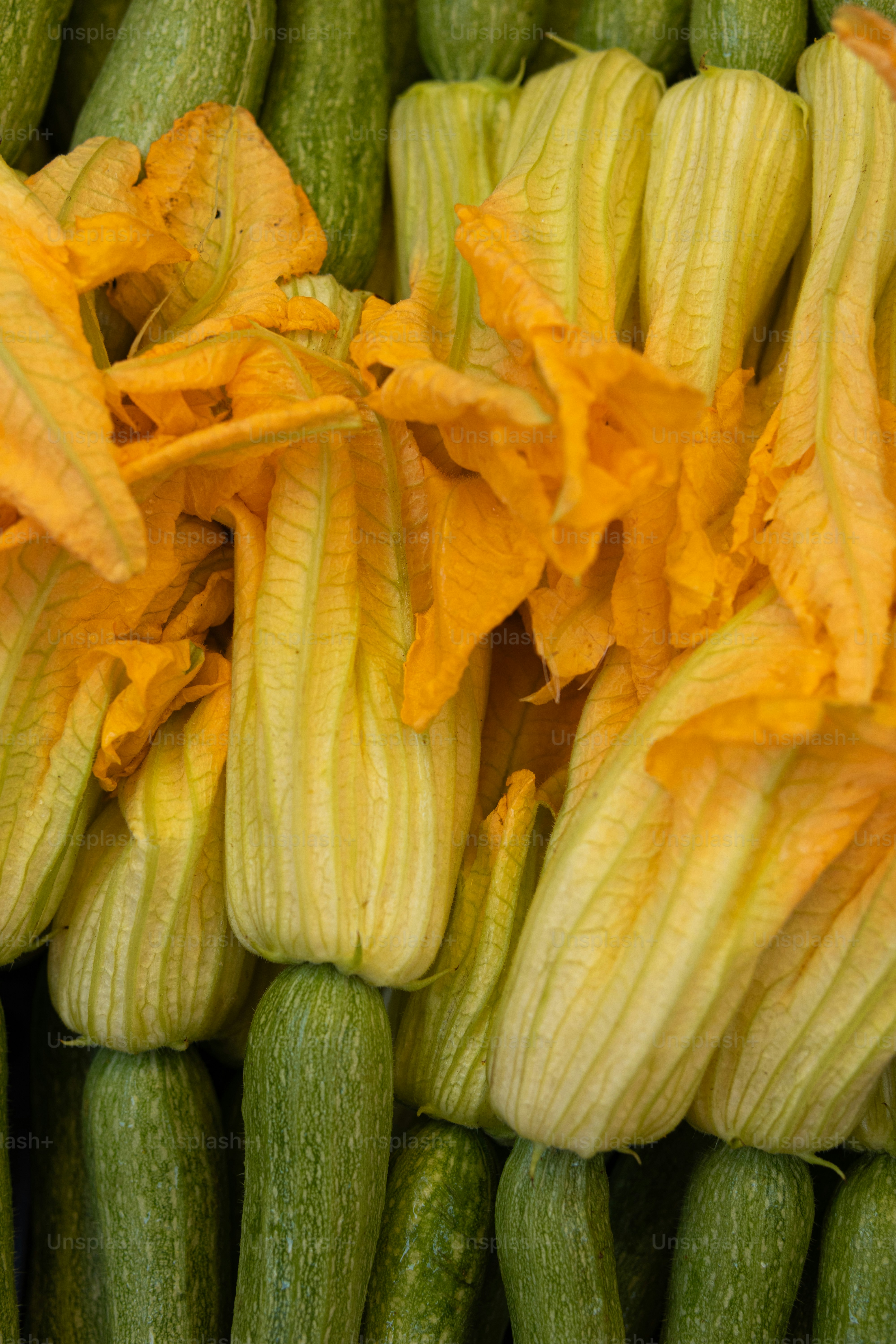 A bunch of yellow flowers sitting on top of cucumbers