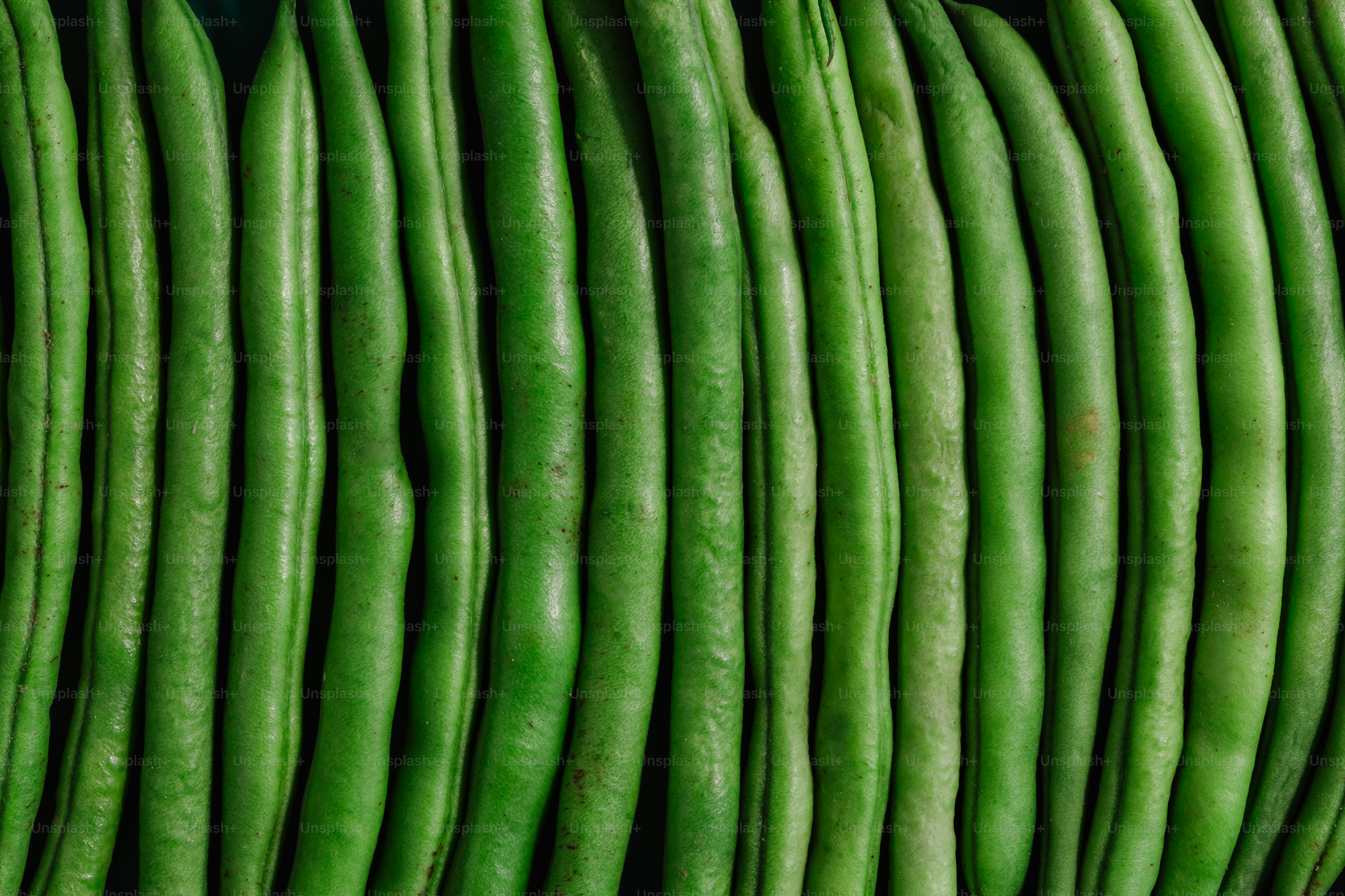 A bunch of green beans hanging on a wall